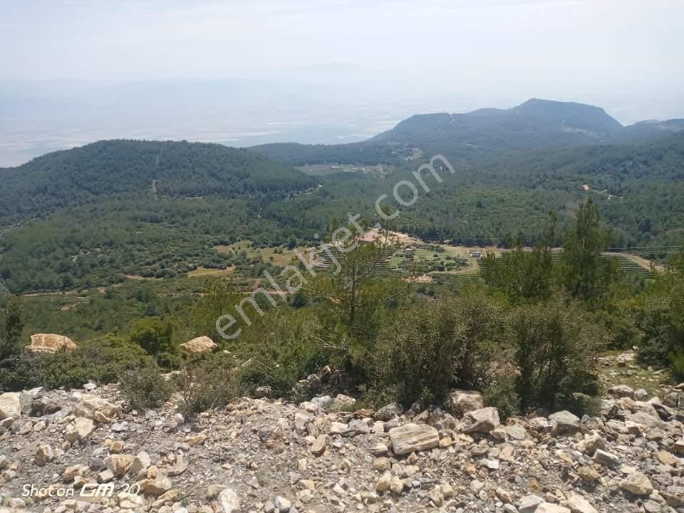 Söke Sazlı'da Satılık 55.725 M² Tarla - Yatırım Fırsatı - Görsel 2