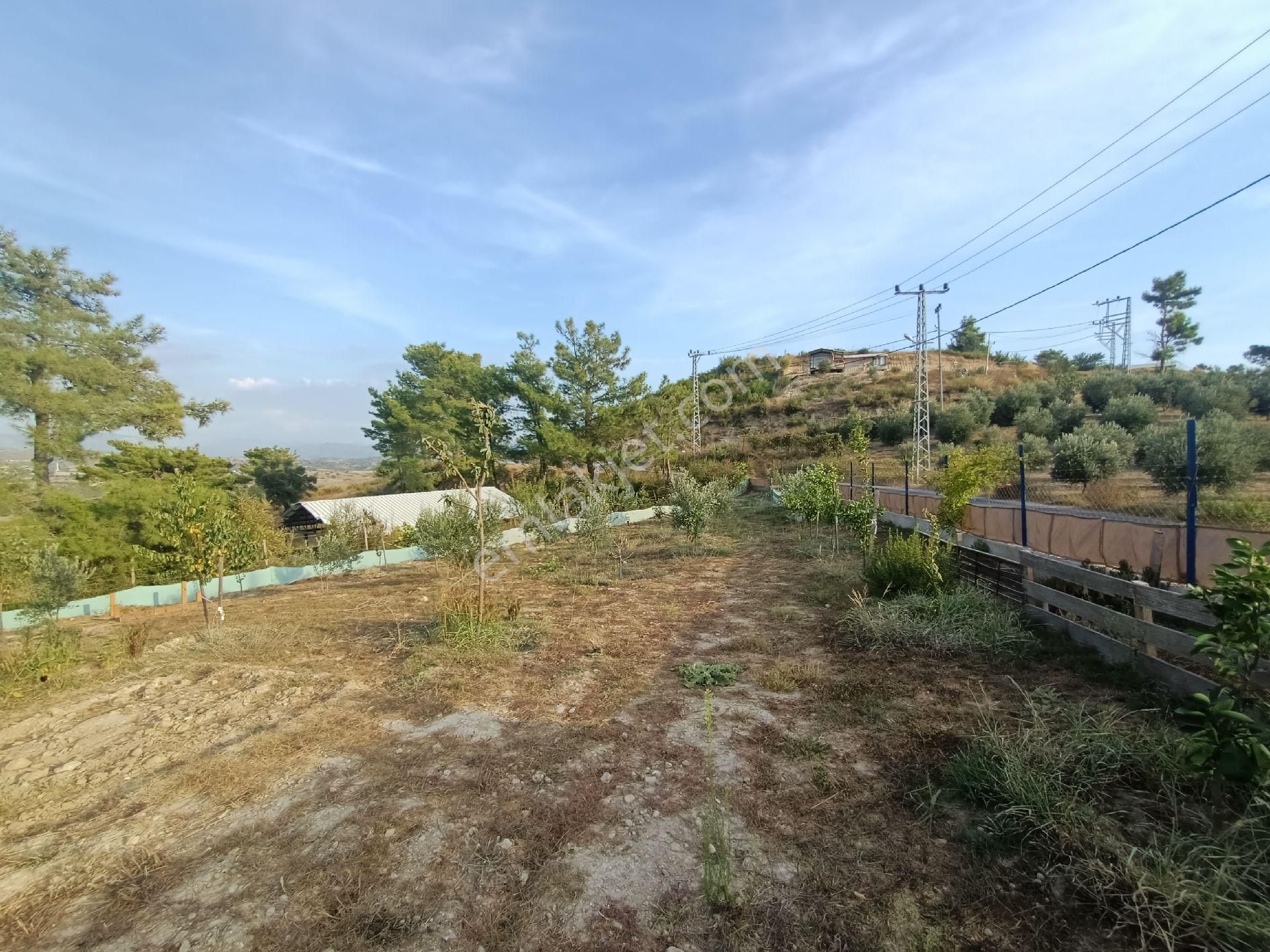 Acil Satılık Manavgat Demirciler'de 900 M2 Satılık Bahçe - Görsel 23