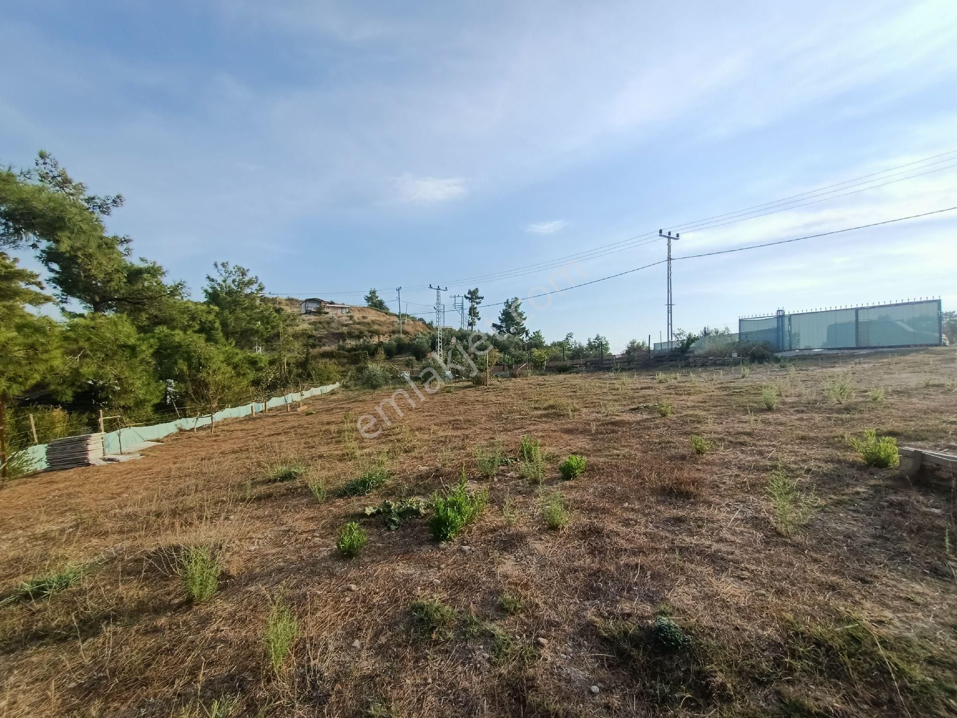 Acil Satılık Manavgat Demirciler'de 900 M2 Satılık Bahçe - Görsel 14