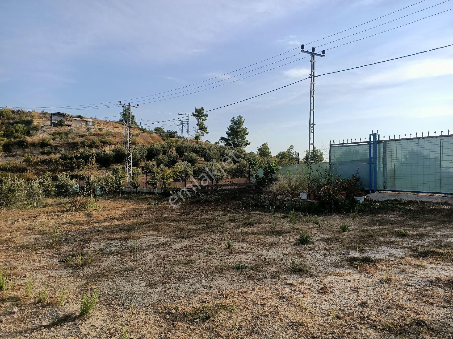 Acil Satılık Manavgat Demirciler'de 900 M2 Satılık Bahçe - Görsel 21