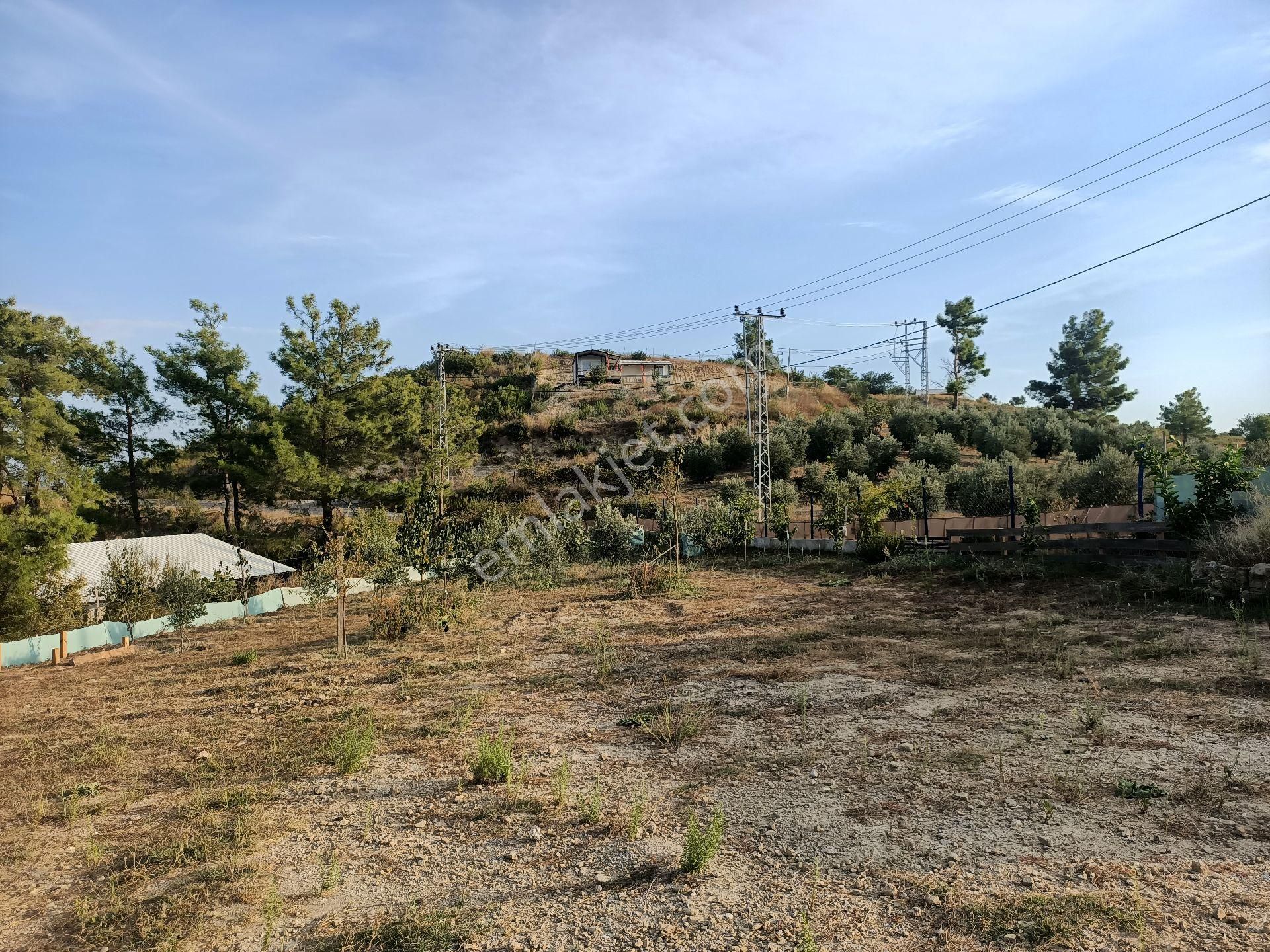 Acil Satılık Manavgat Demirciler'de 900 M2 Satılık Bahçe - Görsel 22
