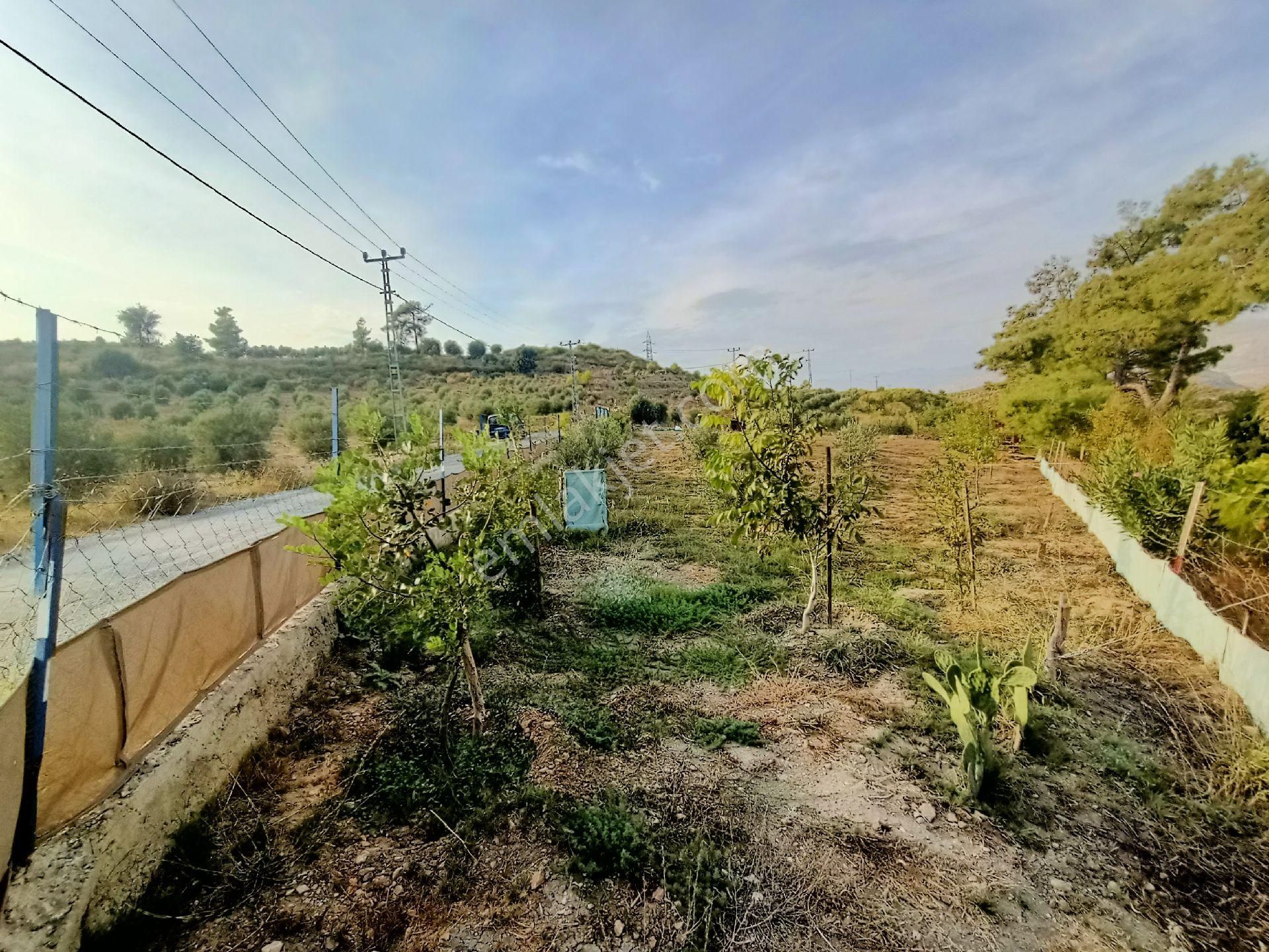 Acil Satılık Manavgat Demirciler'de 900 M2 Satılık Bahçe - Görsel 20