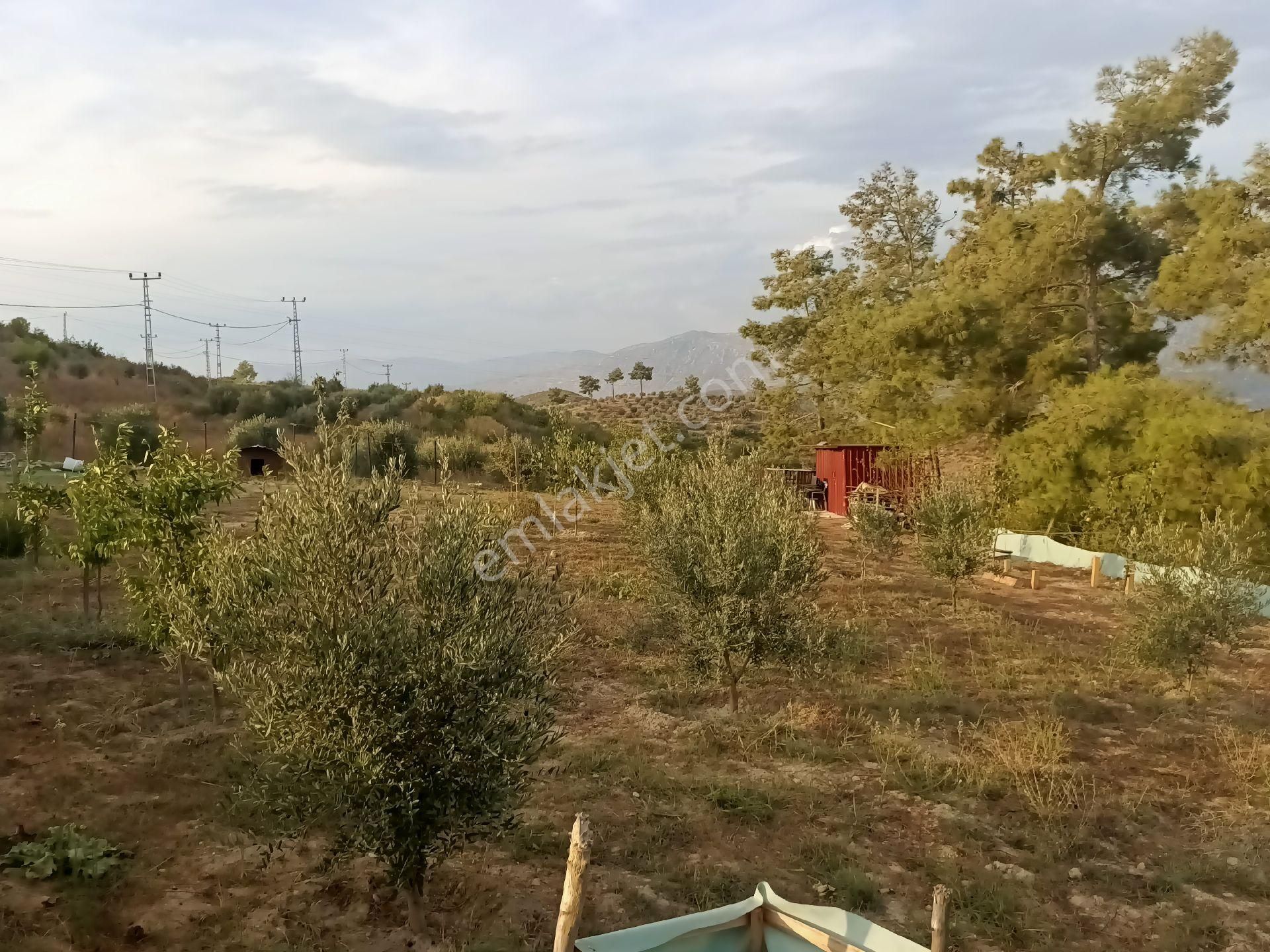 Acil Satılık Manavgat Demirciler'de 900 M2 Satılık Bahçe - Görsel 29