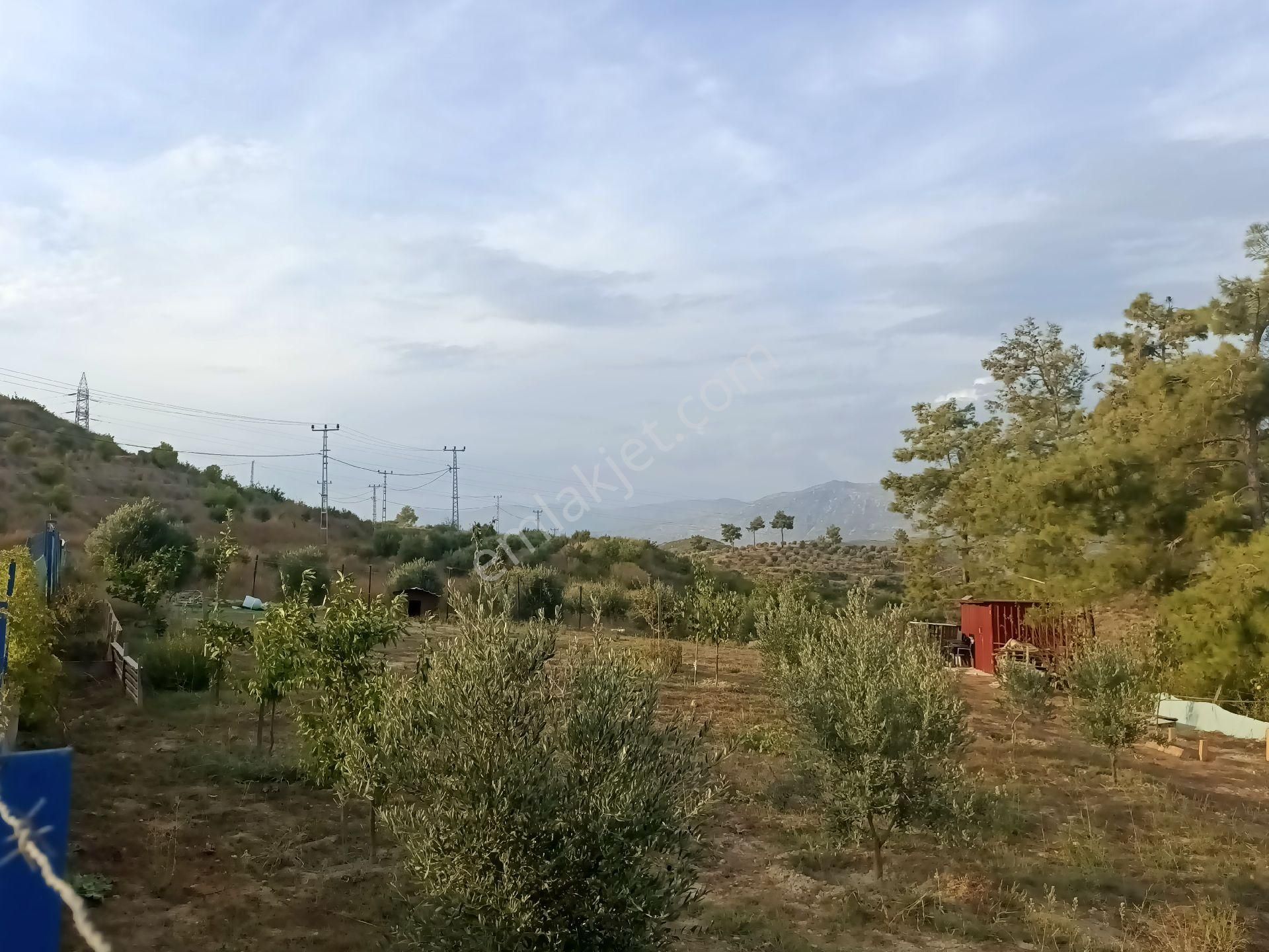 Acil Satılık Manavgat Demirciler'de 900 M2 Satılık Bahçe - Görsel 31