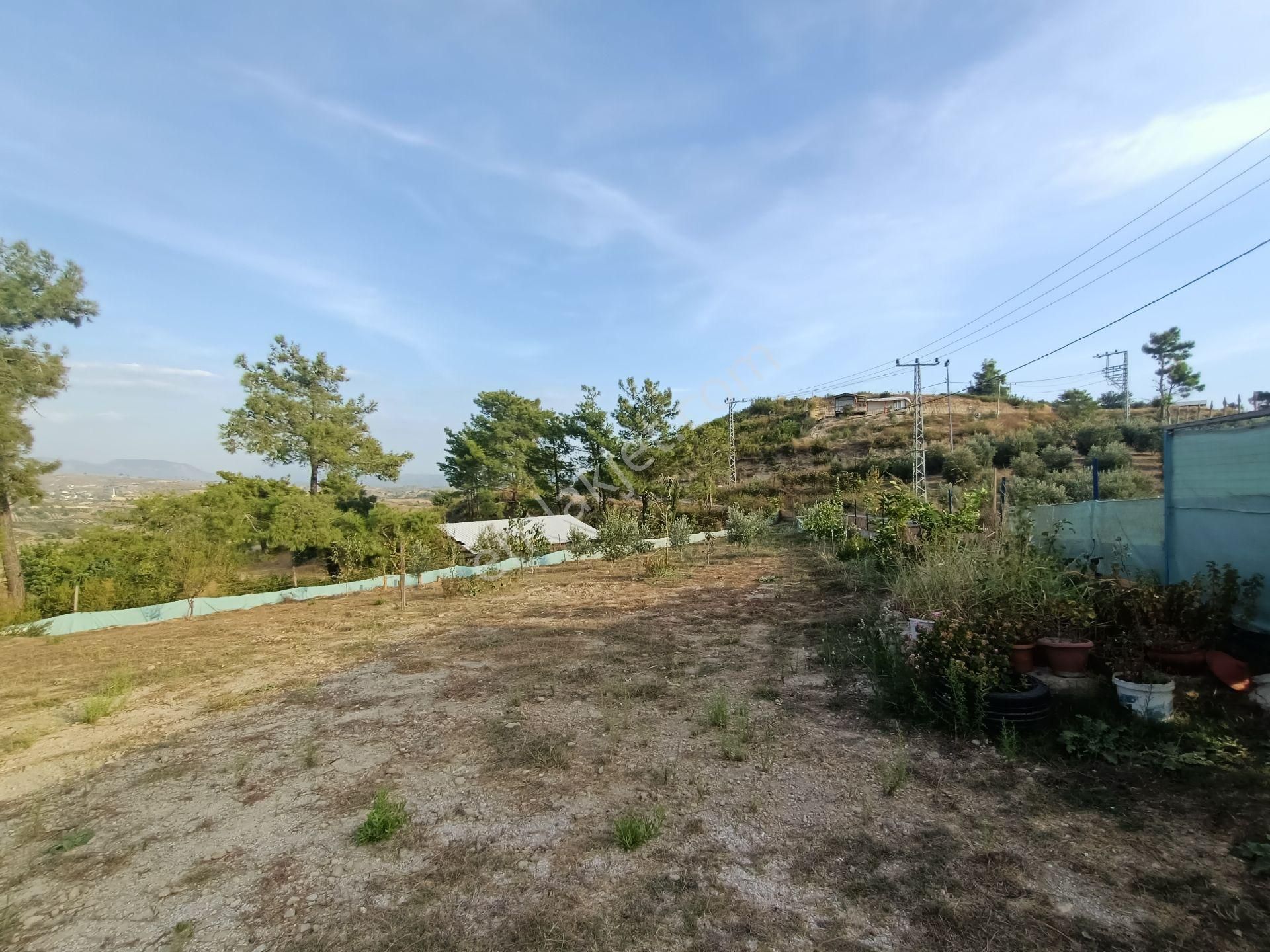 Acil Satılık Manavgat Demirciler'de 900 M2 Satılık Bahçe - Görsel 6