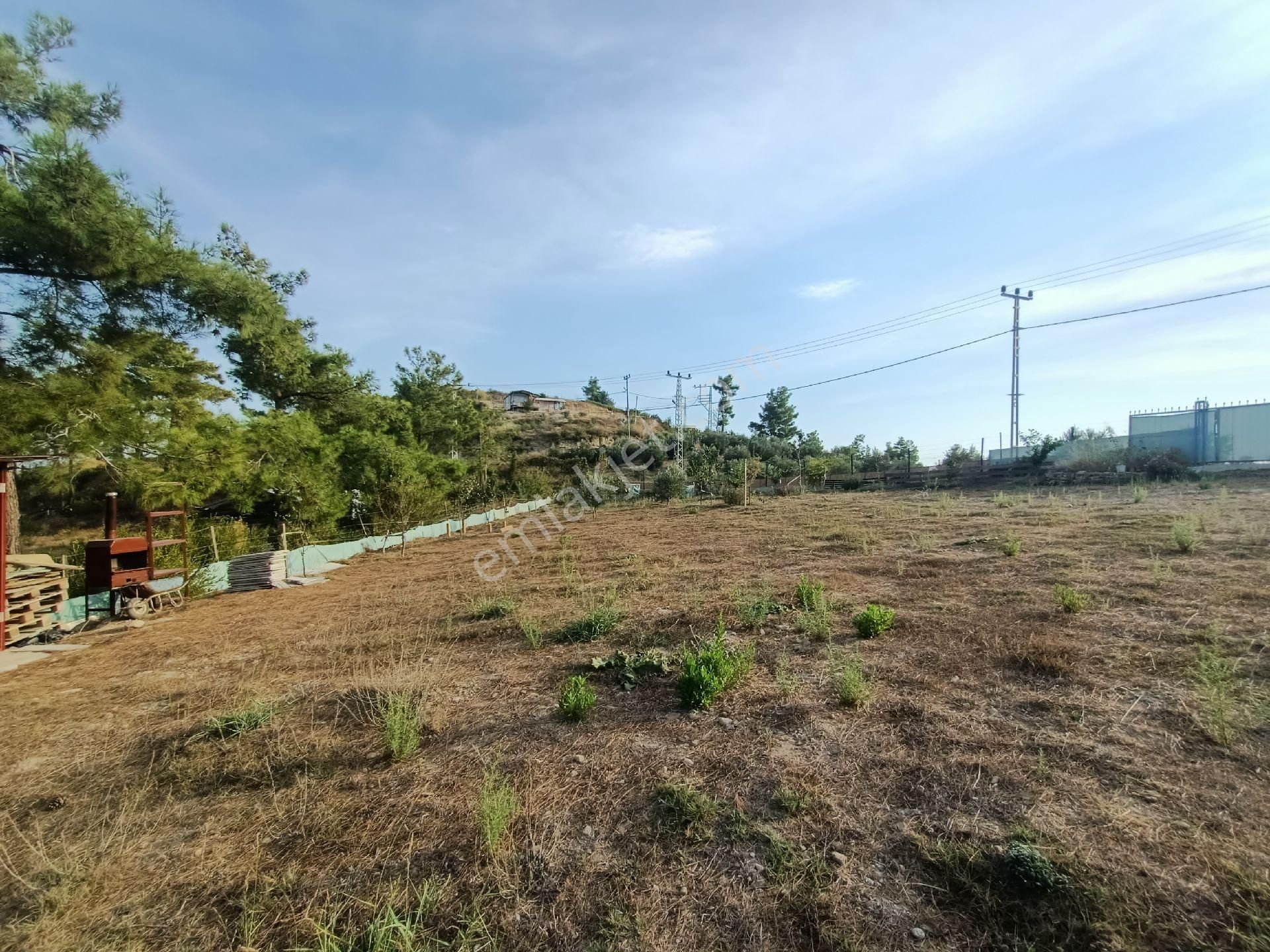 Acil Satılık Manavgat Demirciler'de 900 M2 Satılık Bahçe - Görsel 15