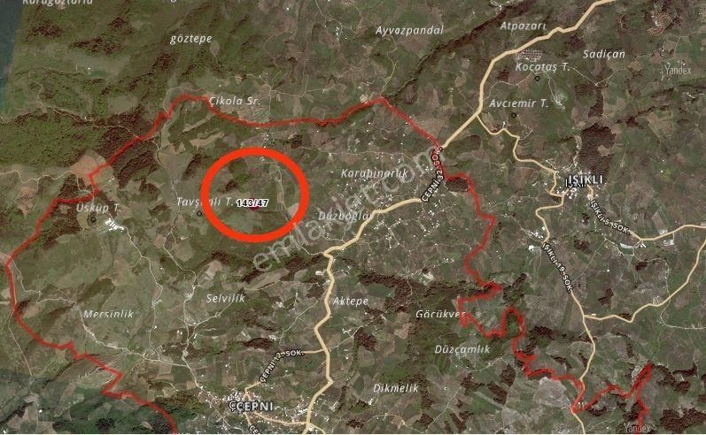 İdenova Gayrimenkul'den Mudanya Çepnide Deniz Manzaralı Satılık Tarla - Görsel 3