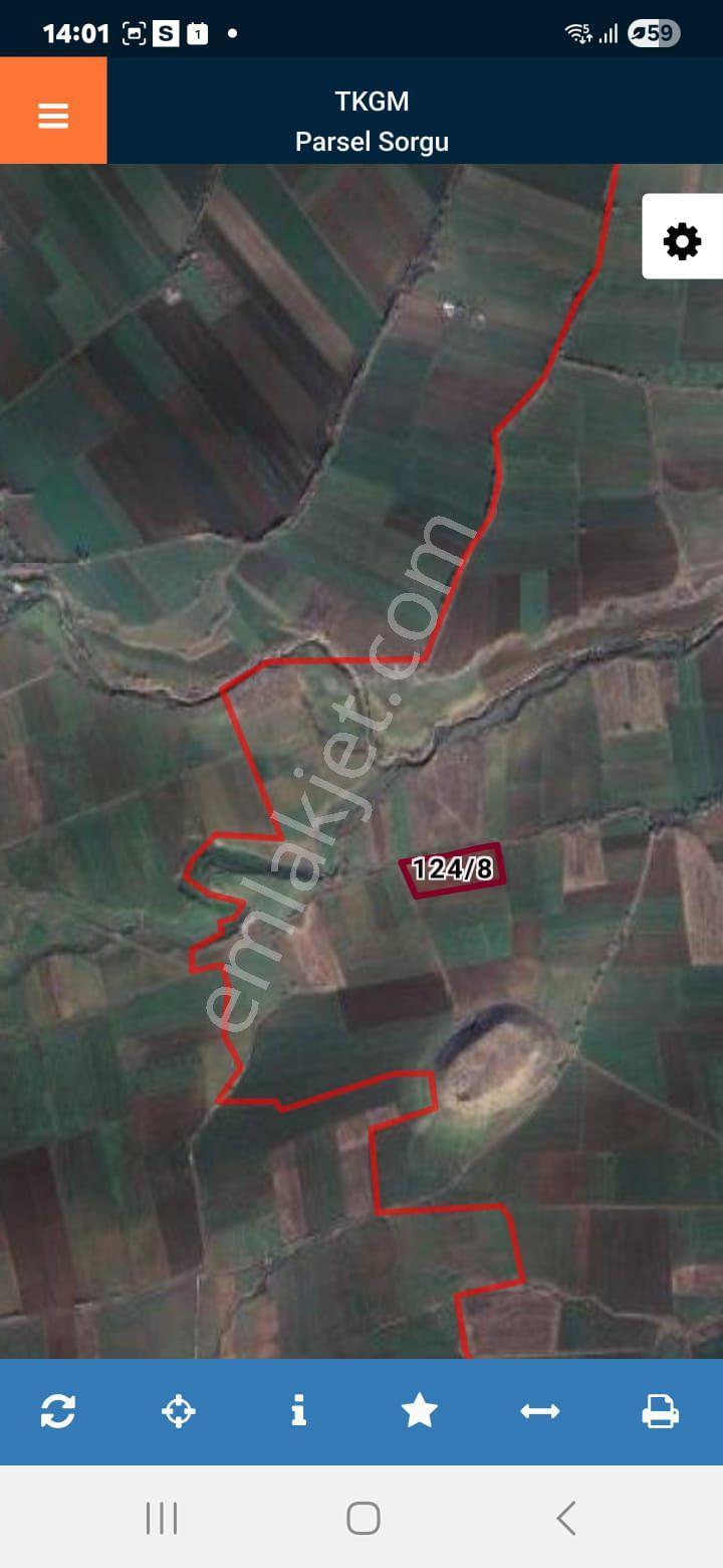 Doğan Kuş Tilezik De Satılık Tarla - Görsel 5