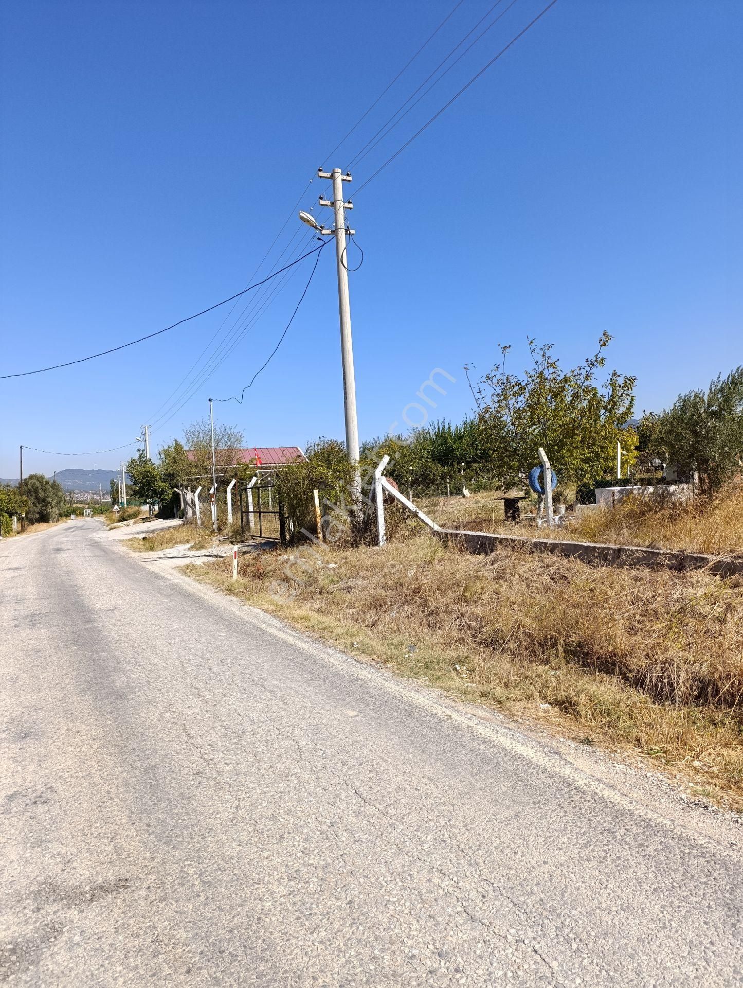 İzmir Torbalı Bozköyde Satılık Zeyt - Görsel 2