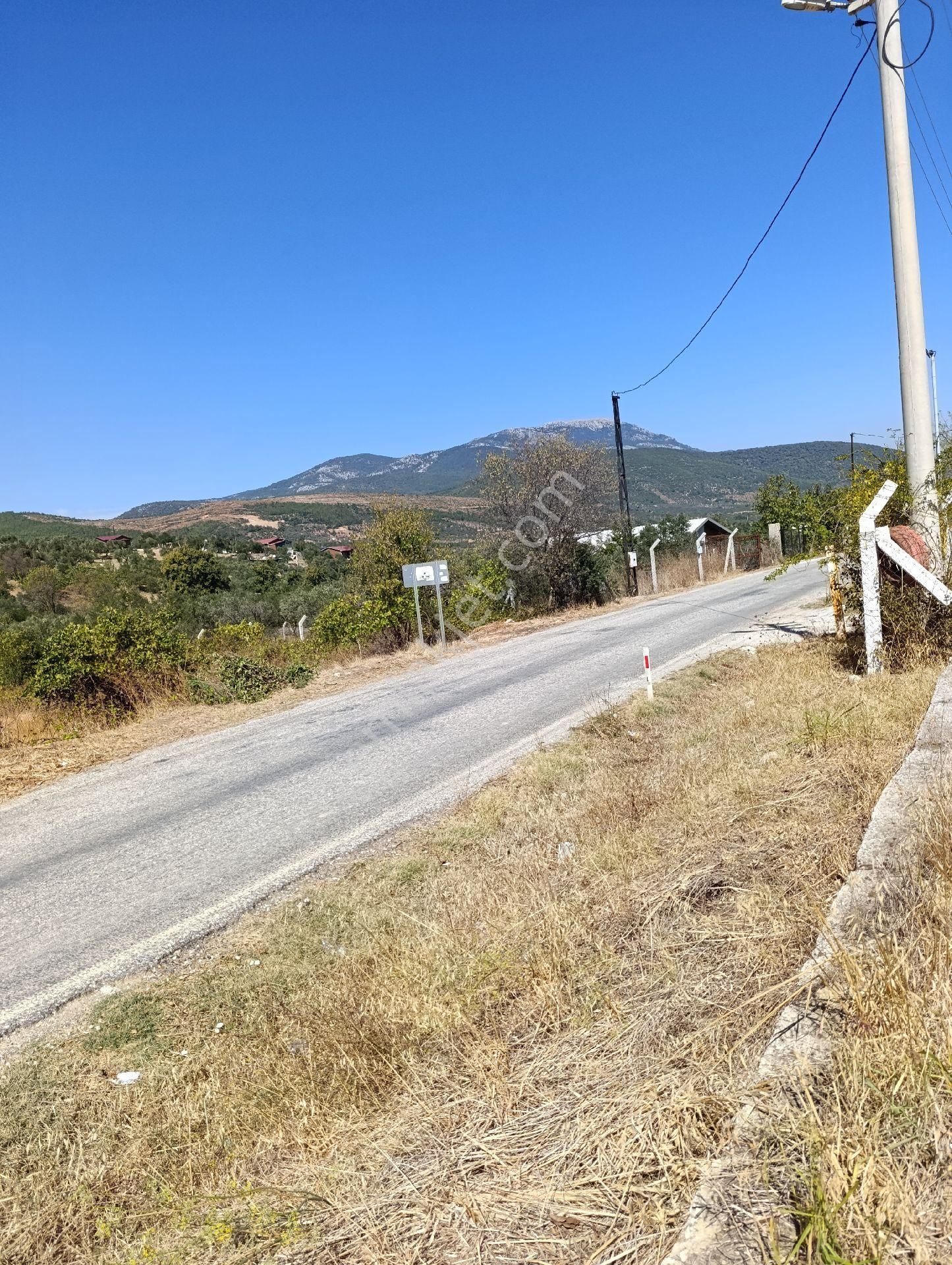 İzmir Torbalı Bozköyde Satılık Zeyt - Görsel 13