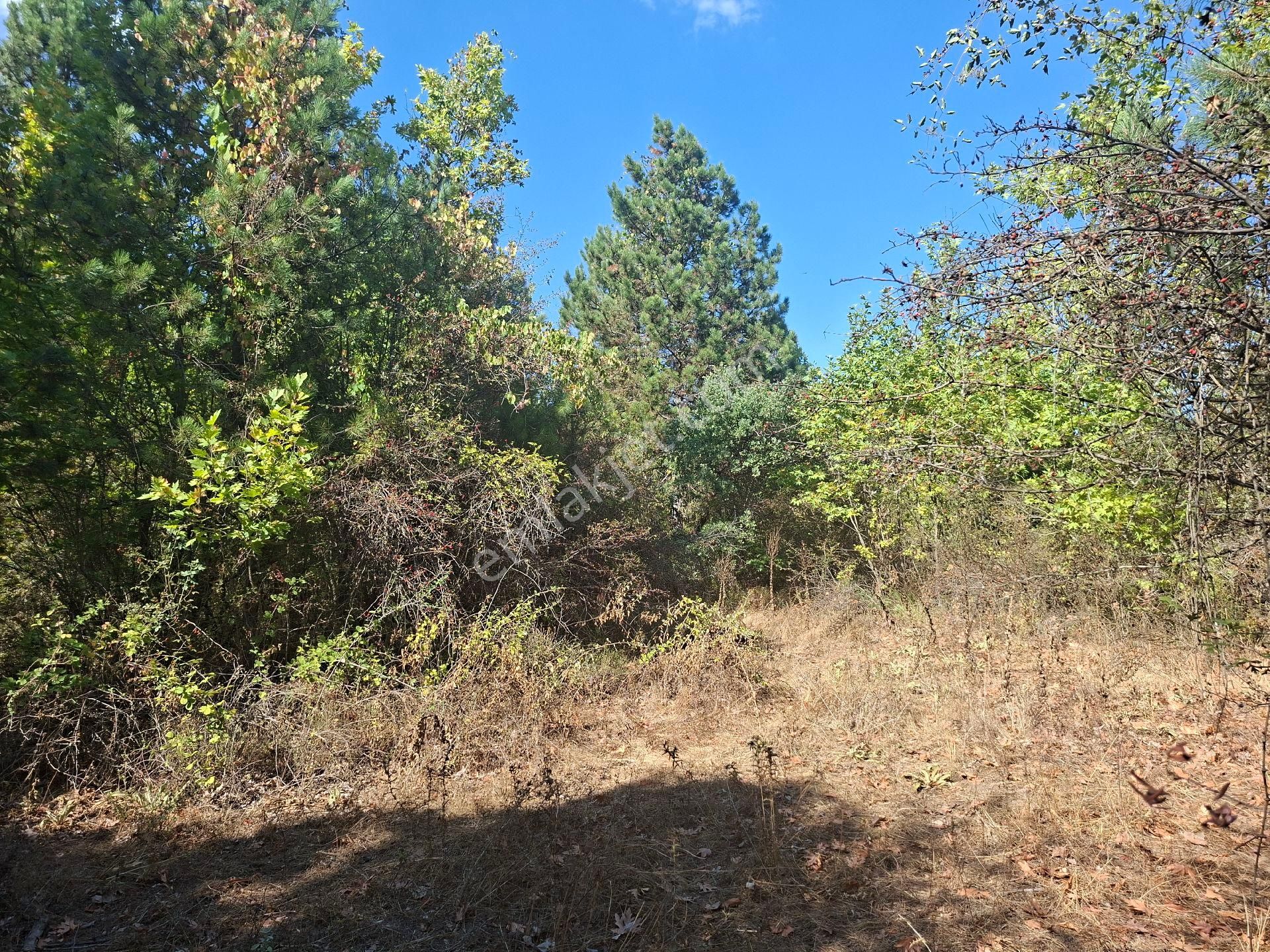 Kazdağları Köyiçi Tapulu