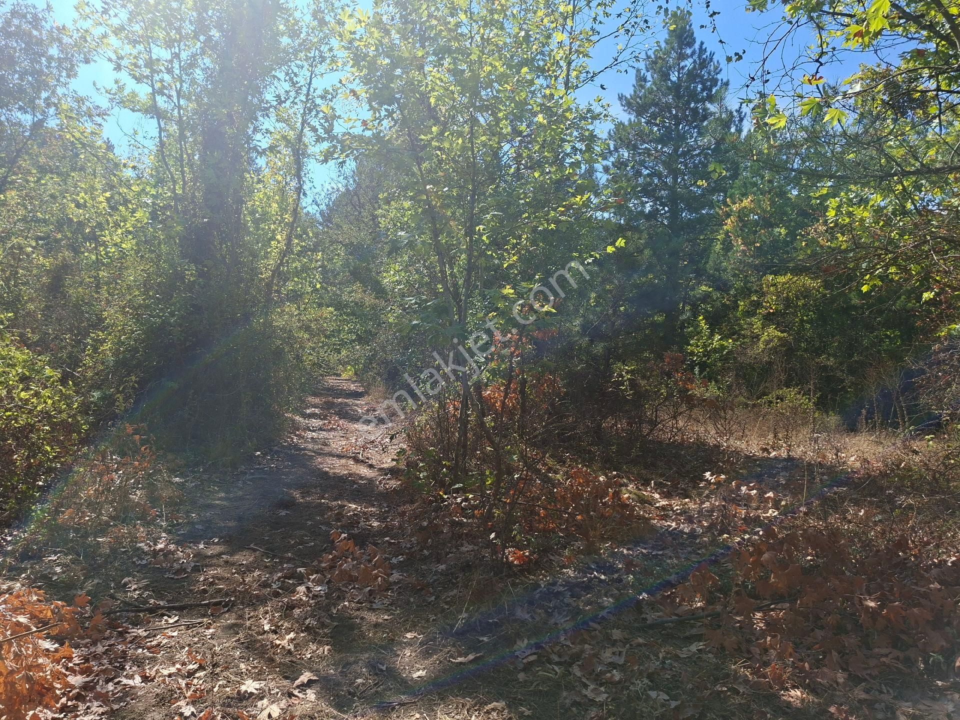 Kazdağları Köyiçi Tapulu - Görsel 2