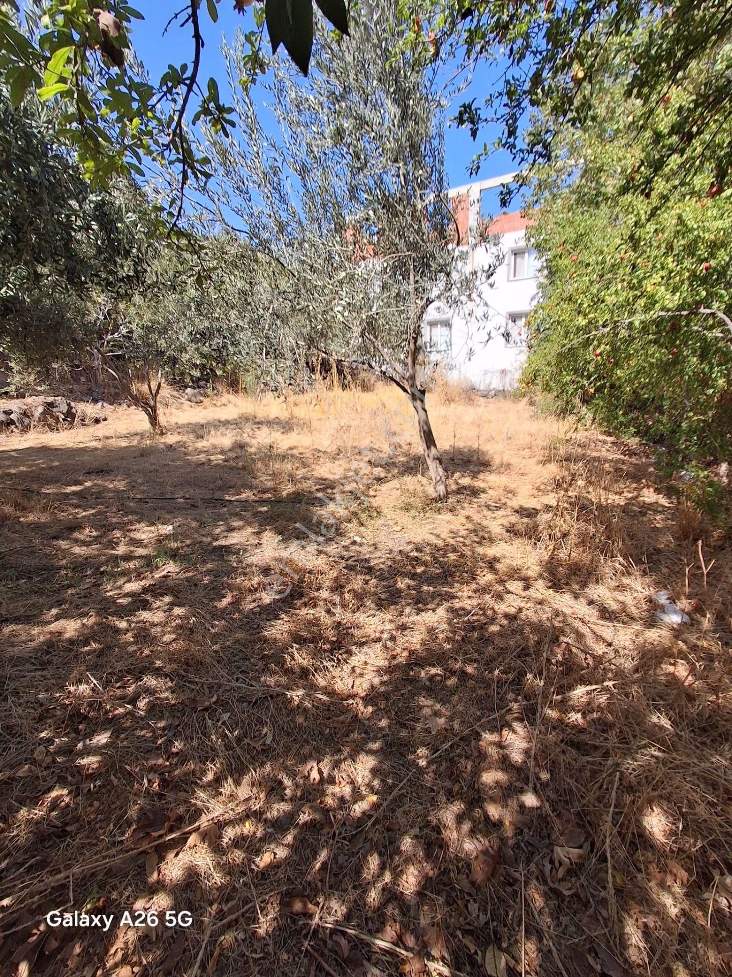 Turyap'tan Hatundere'de Satılık Müstakil Tapulu İmarlı Arsa - Görsel 7