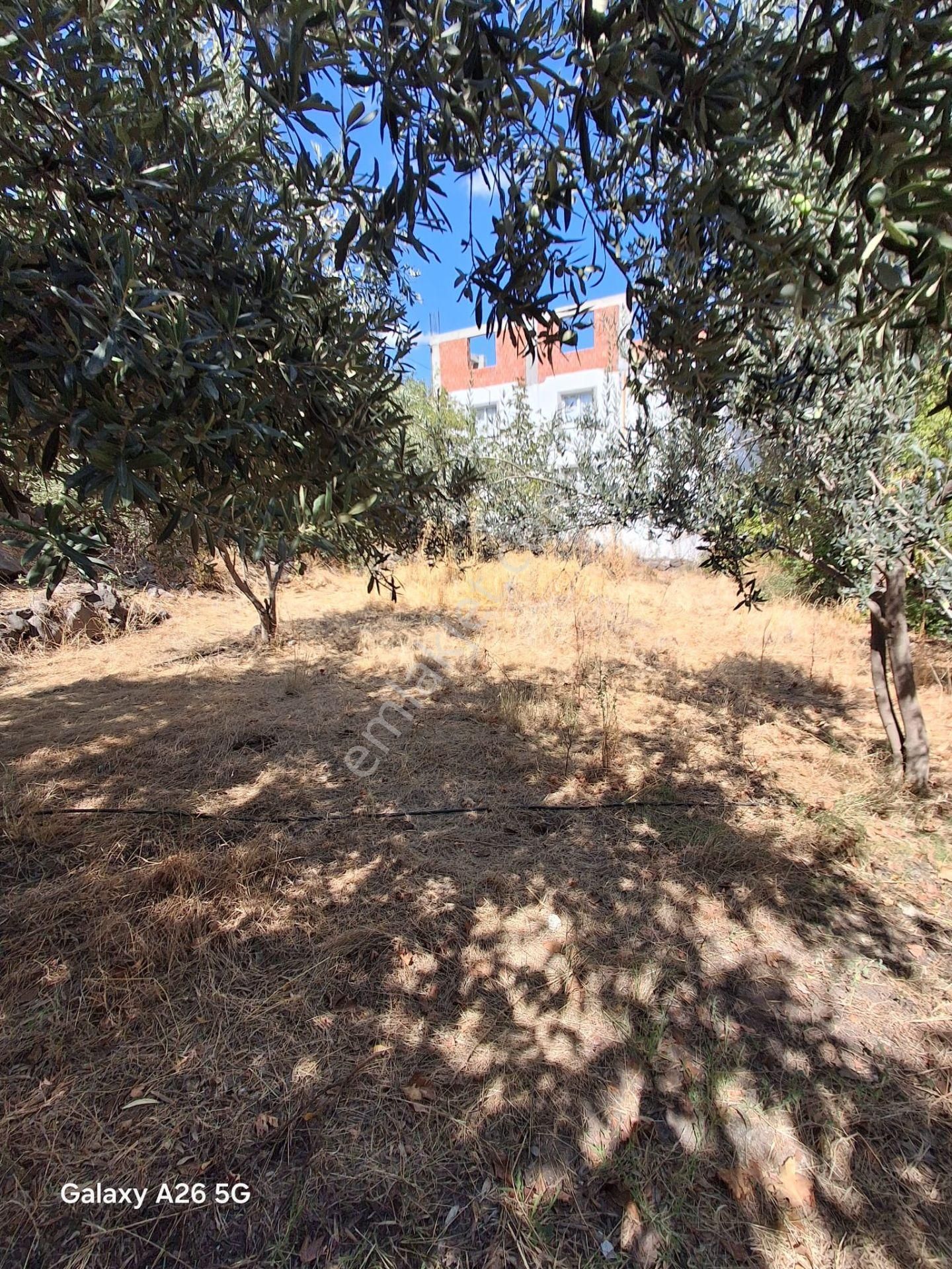 Turyap'tan Hatundere'de Satılık Müstakil Tapulu İmarlı Arsa - Görsel 4