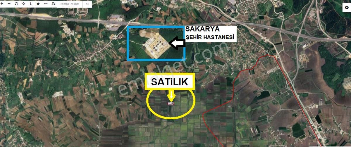 Sakarya Serdivan Yazlıkta Yükselen Bölgede 9600 M2 Arazi - Görsel 7