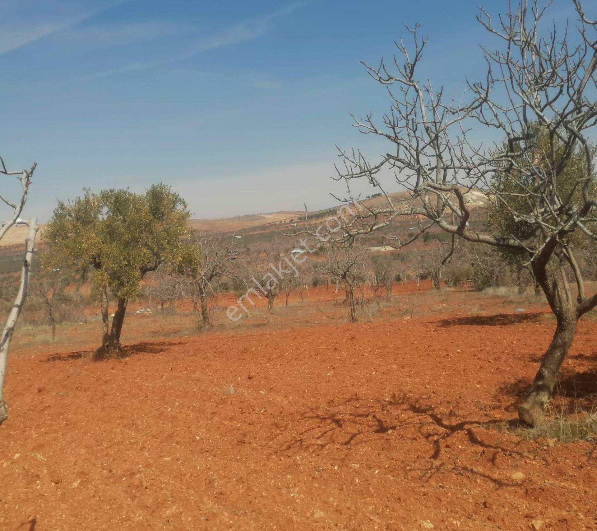 Subaşında 6300 M2 Harika Manzaralı Fırsat Yer - Görsel 20