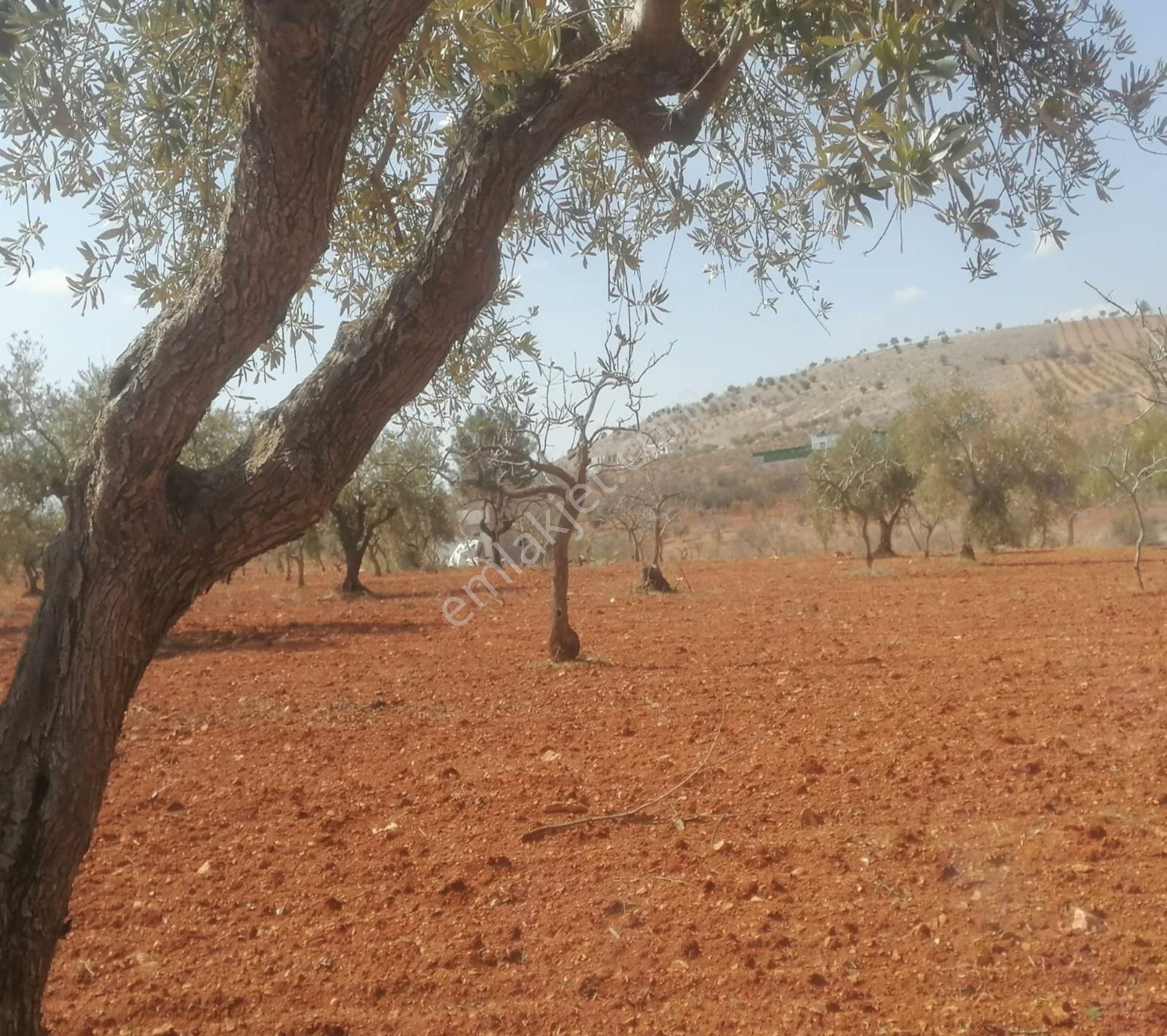 Subaşında 6300 M2 Harika Manzaralı Fırsat Yer - Görsel 21