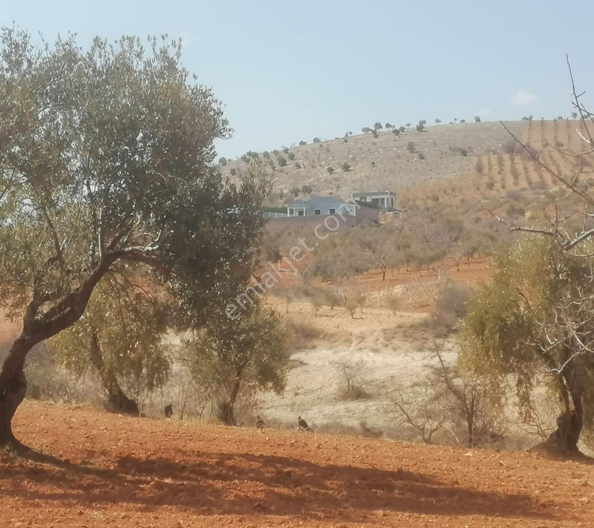 Subaşında 6300 M2 Harika Manzaralı Fırsat Yer - Görsel 26