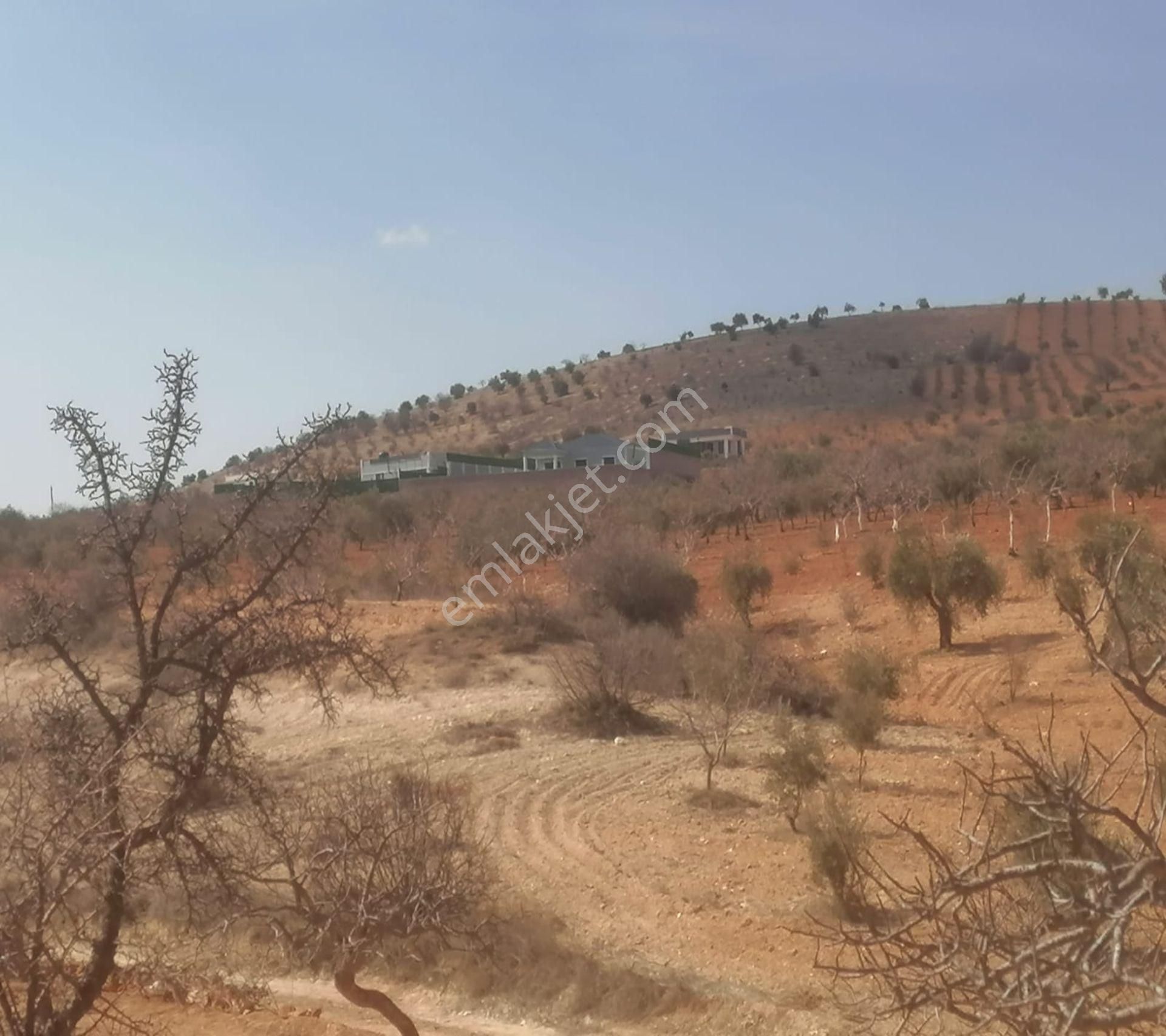 Subaşında 6300 M2 Harika Manzaralı Fırsat Yer - Görsel 28