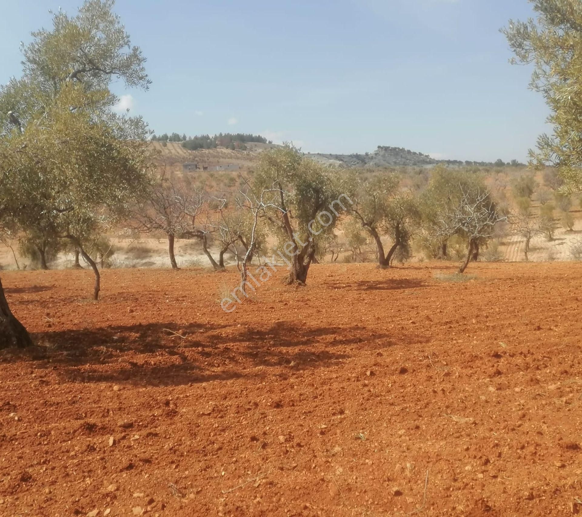 Subaşında 6300 M2 Harika Manzaralı Fırsat Yer - Görsel 23