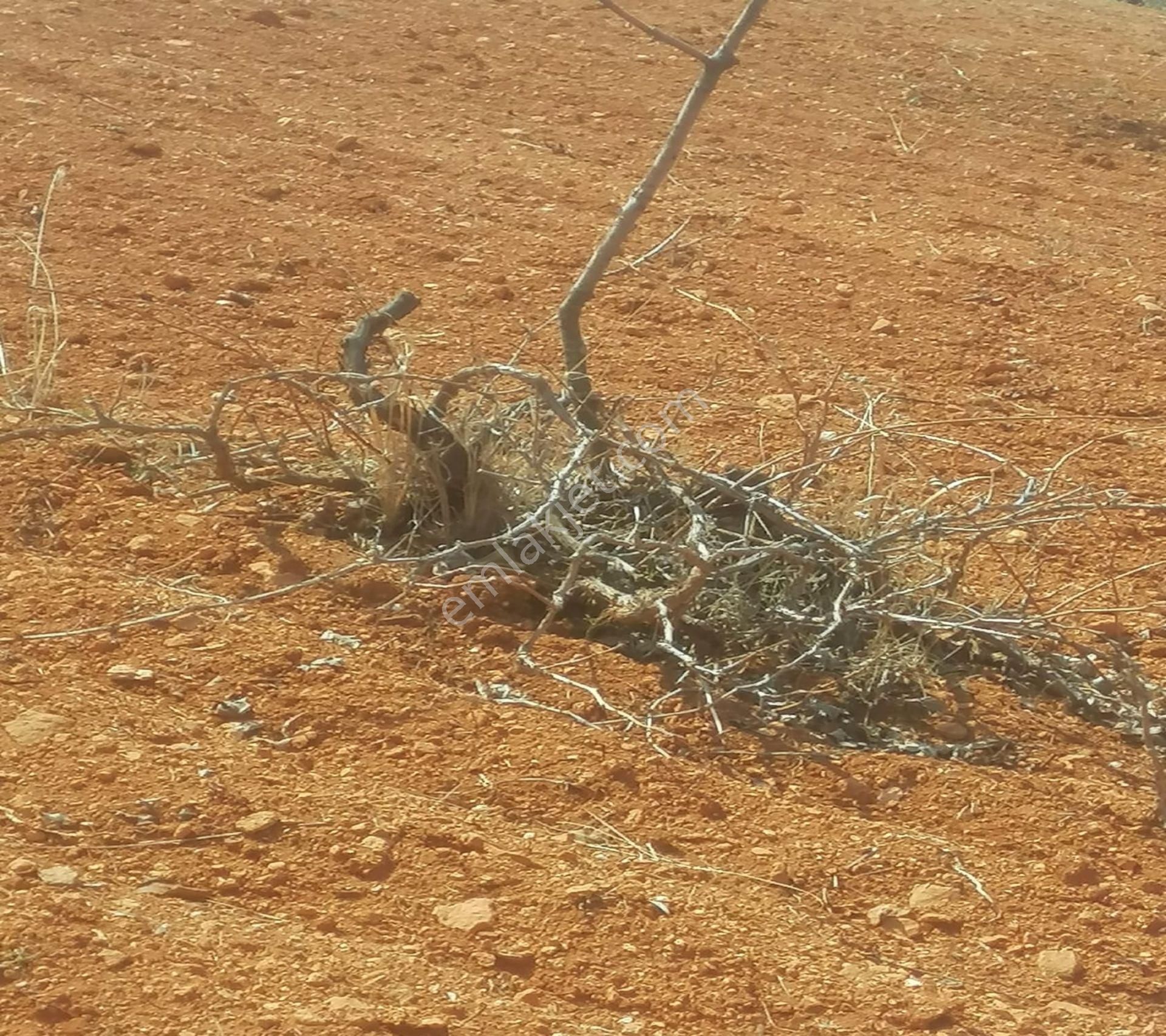 Subaşında 6300 M2 Harika Manzaralı Fırsat Yer - Görsel 30