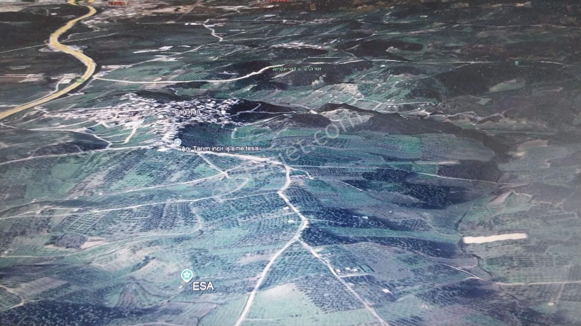Bursa Osmangazi Çaglayan Köyde Fırsat Yatırımlık Zeytin Ve İncirlik - Görsel 8