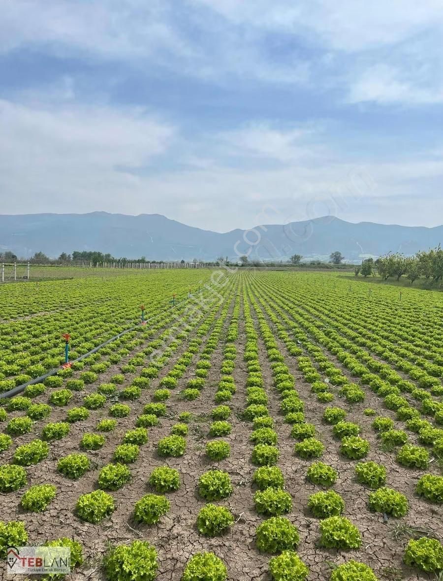 Sakarya Pamukova Paşalarda 880m2 Tarla - Görsel 3