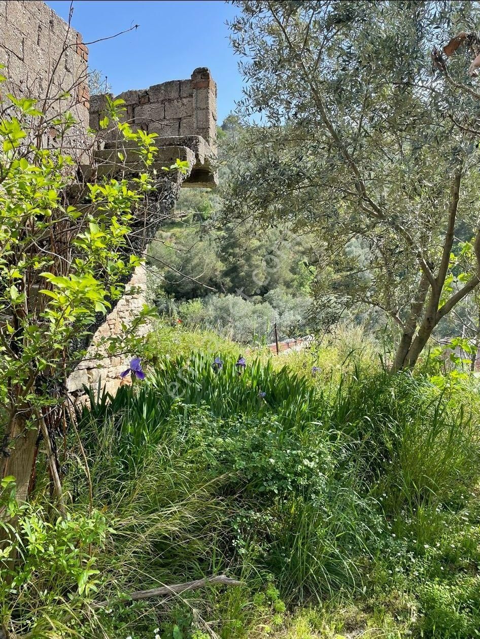 678 Bozdoğan Ziyaretli Mah De Satılık Bahçeli Müstakil Ev - Görsel 12