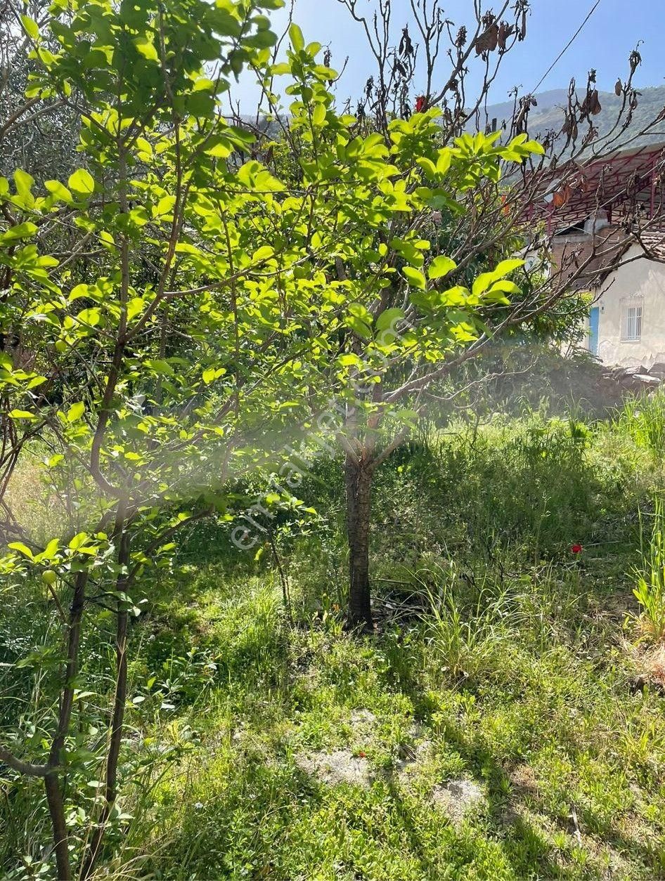 678 Bozdoğan Ziyaretli Mah De Satılık Bahçeli Müstakil Ev - Görsel 24