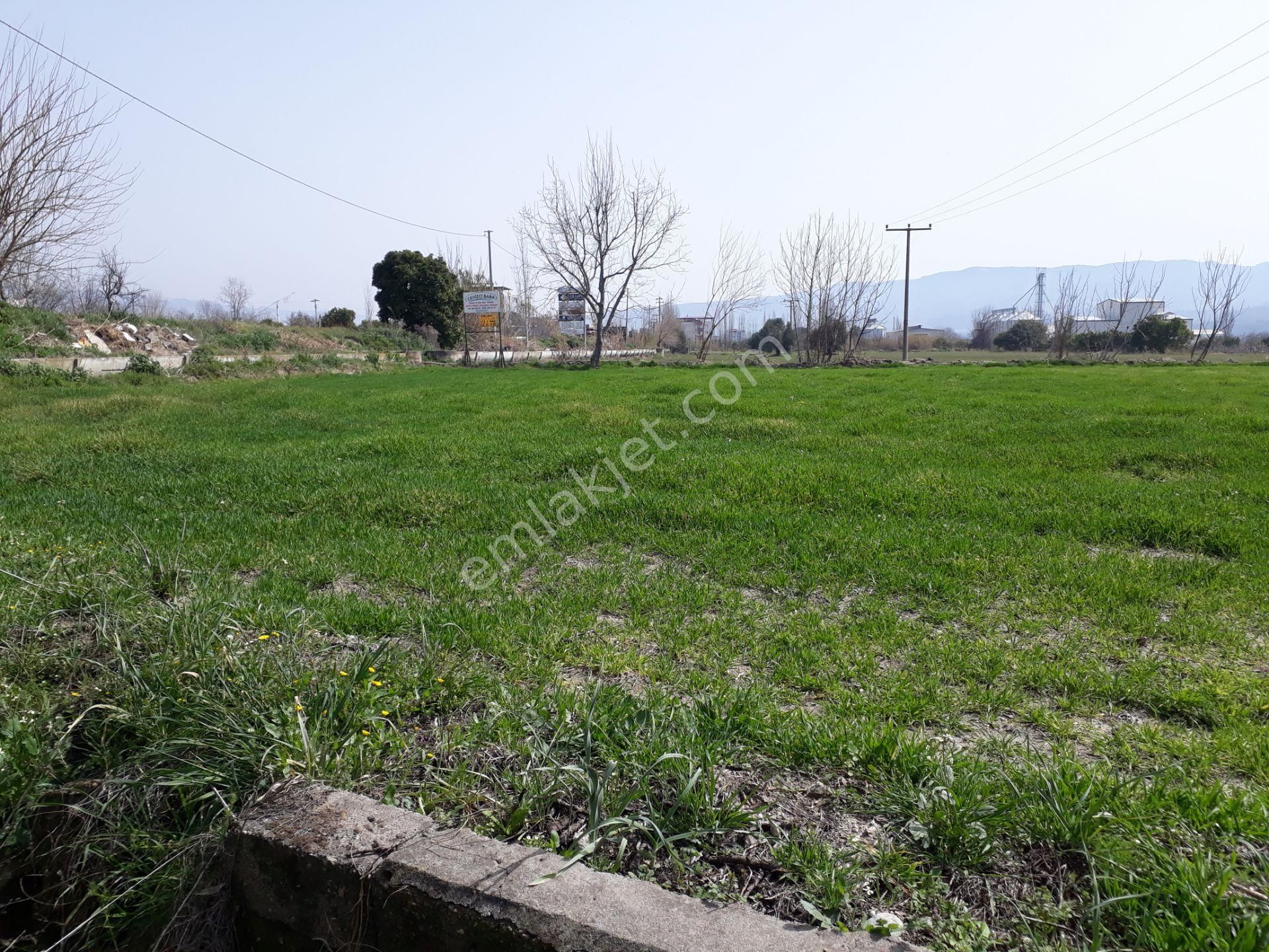 Kuyucak Horsunlu Mahallesin De Asfalt Cepheli Satılık Bahçe - Görsel 16