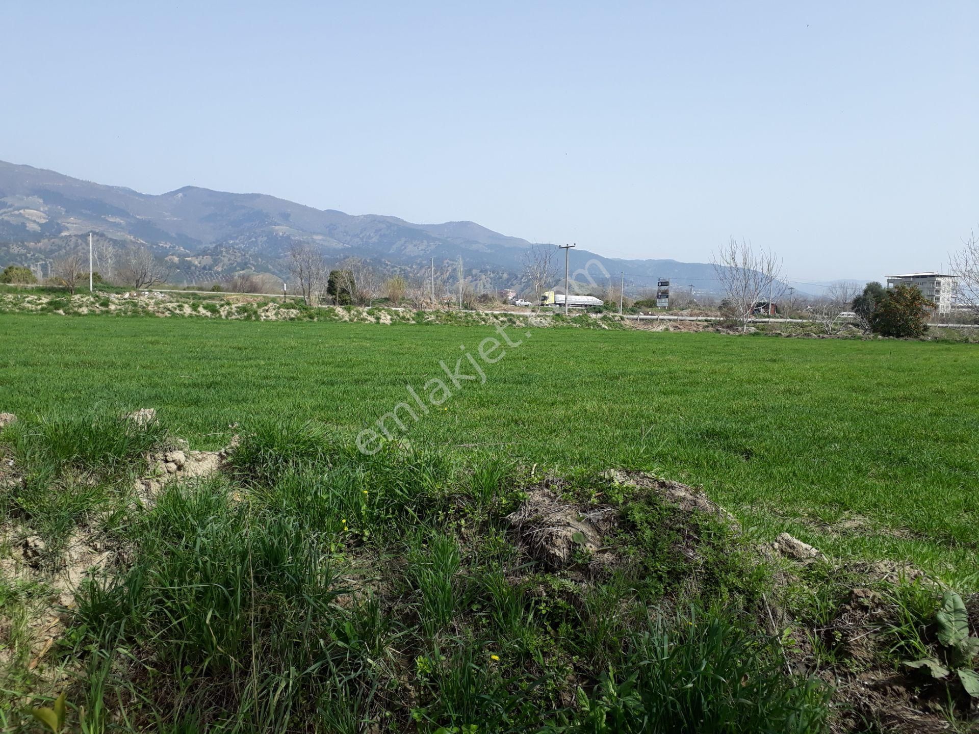 Kuyucak Horsunlu Mahallesin De Asfalt Cepheli Satılık Bahçe - Görsel 20