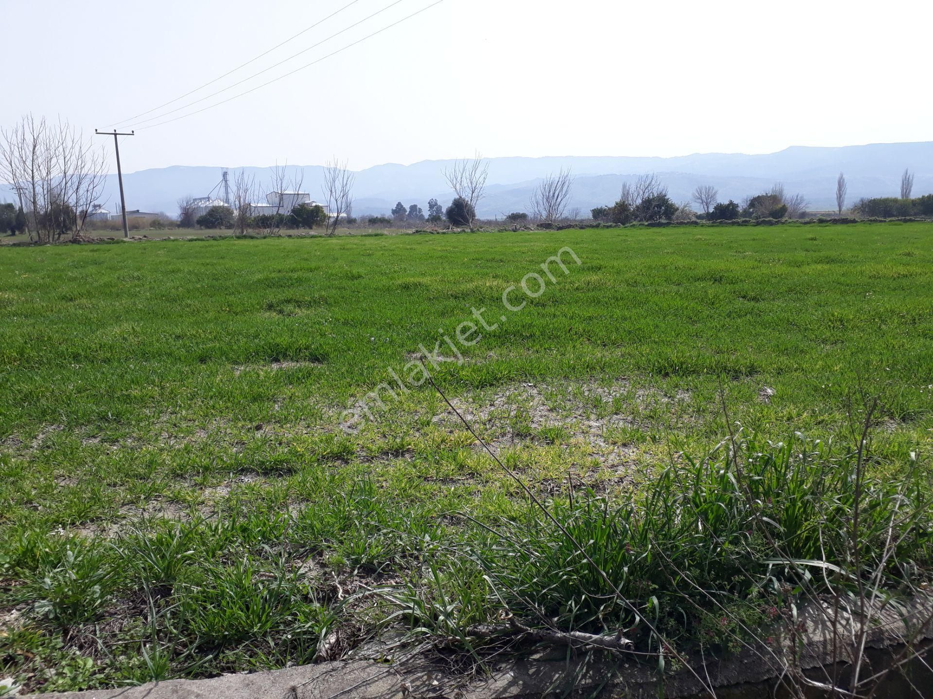 Kuyucak Horsunlu Mahallesin De Asfalt Cepheli Satılık Bahçe - Görsel 8