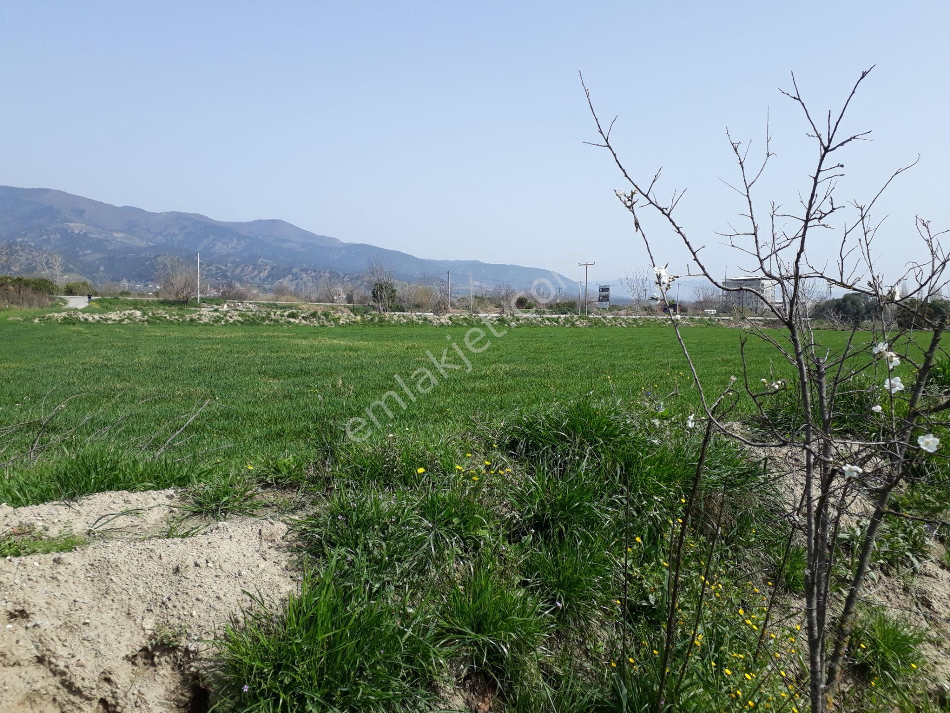 Kuyucak Horsunlu Mahallesin De Asfalt Cepheli Satılık Bahçe - Görsel 12