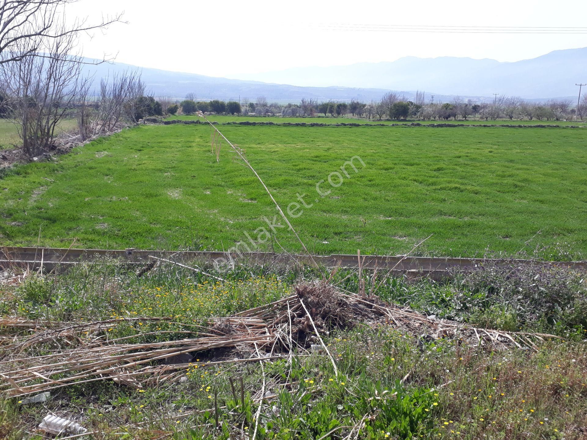 Kuyucak Horsunlu Mahallesin De Asfalt Cepheli Satılık Bahçe - Görsel 18