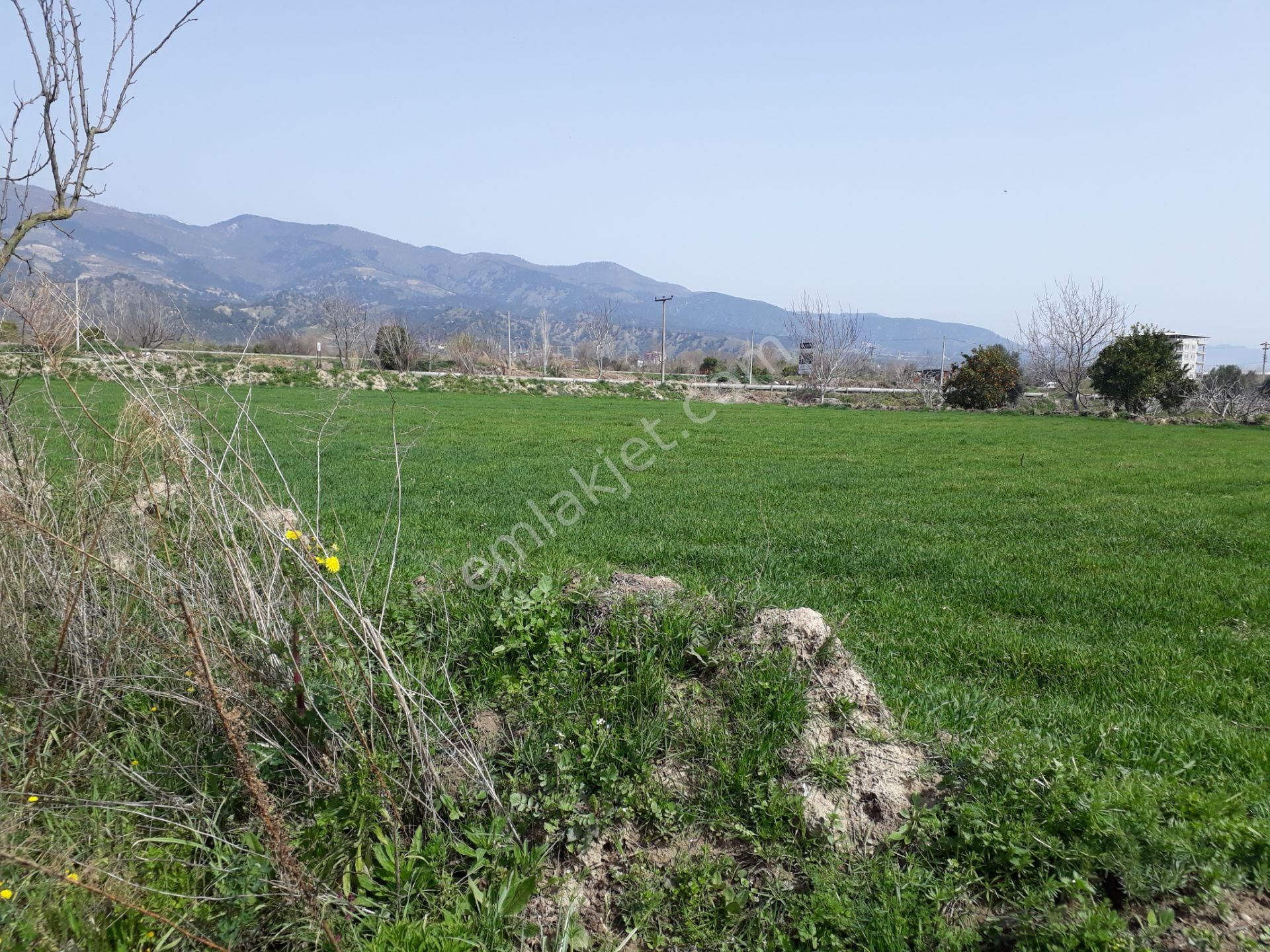 Kuyucak Horsunlu Mahallesin De Asfalt Cepheli Satılık Bahçe - Görsel 4