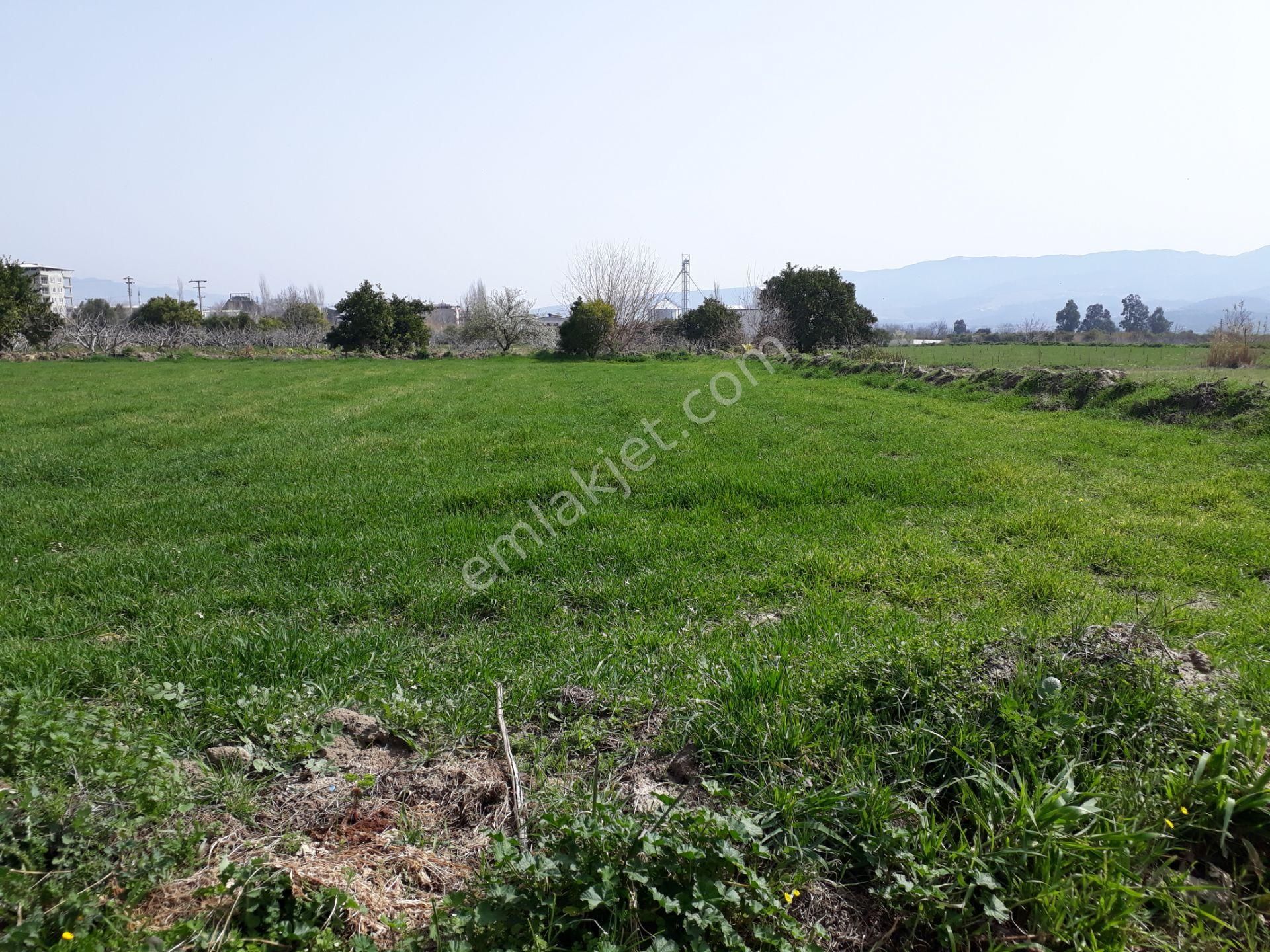 Kuyucak Horsunlu Mahallesin De Asfalt Cepheli Satılık Bahçe - Görsel 22