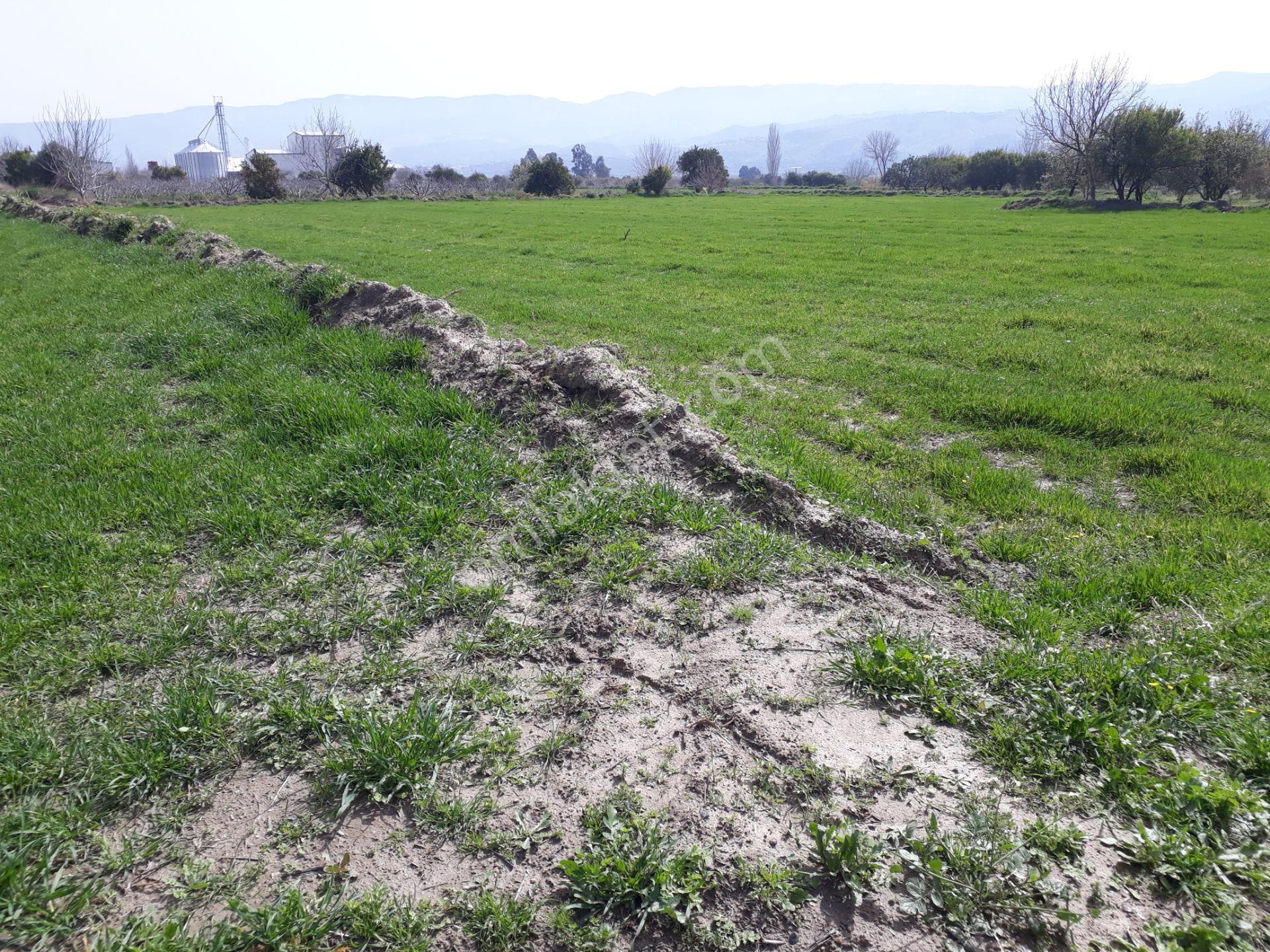 Kuyucak Horsunlu Mahallesin De Asfalt Cepheli Satılık Bahçe - Görsel 24