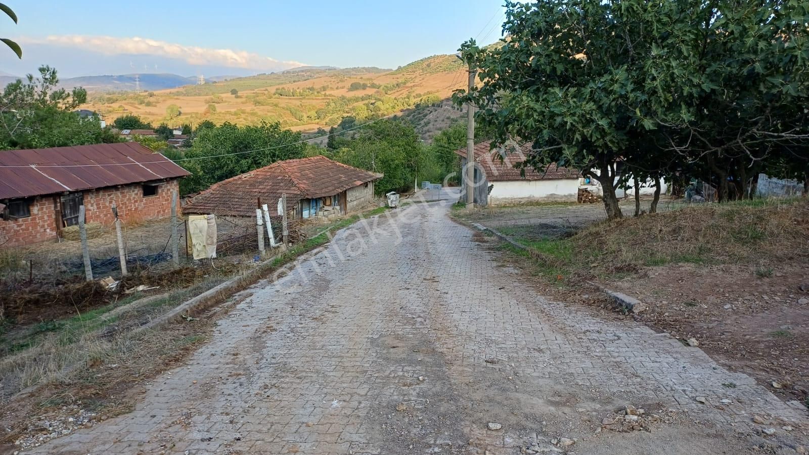 Kocaeli Karamürsel Kızderbent Köy İçi 3.159 M2 Satılık Tarla - Görsel 2