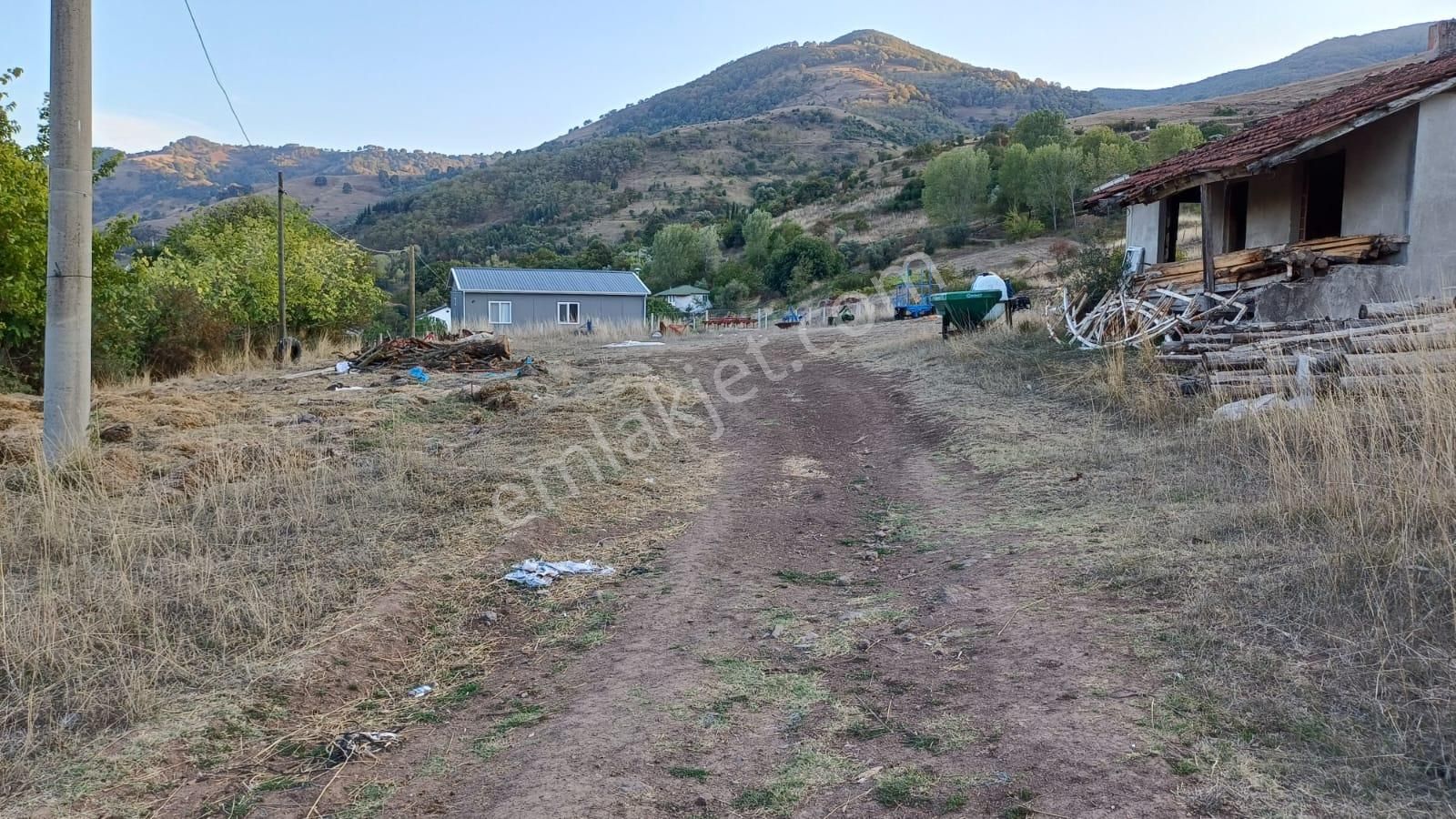 Kocaeli Karamürsel Kızderbent Köy İçi 3.159 M2 Satılık Tarla - Görsel 6