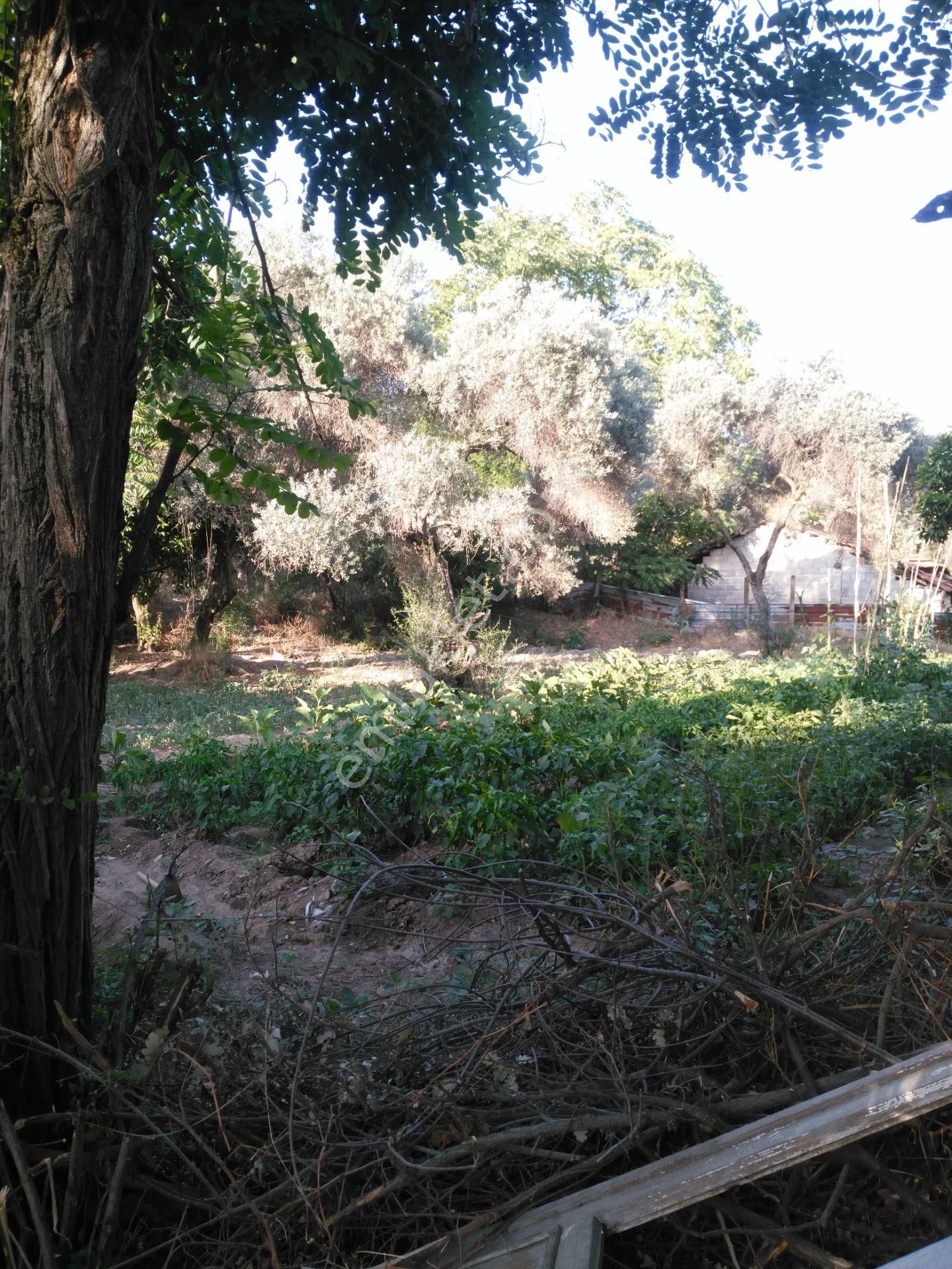 632 Ocaklı (yıldıztepe) Mahallesi Arasında Satılık Arsa - Görsel 20