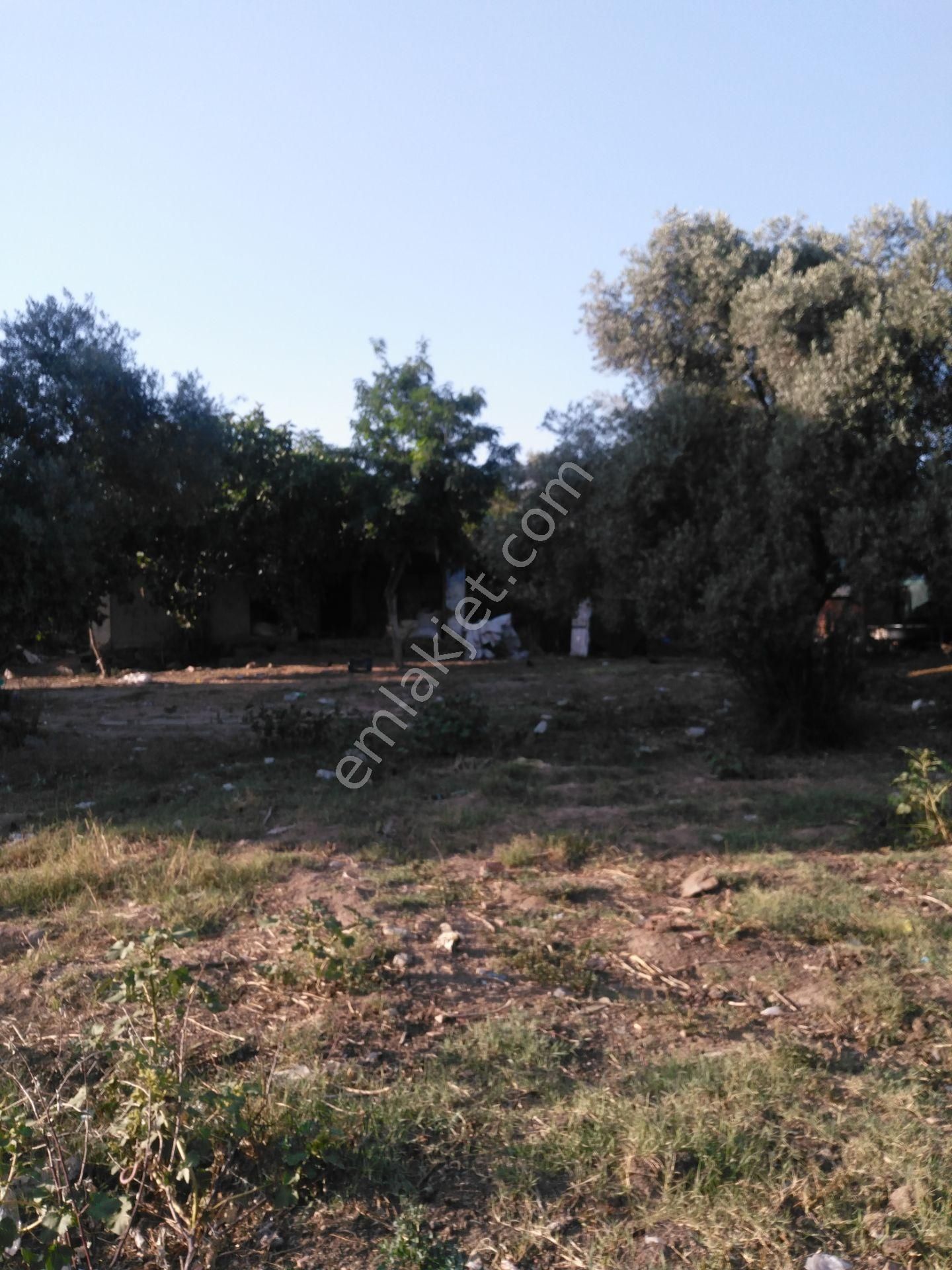 632 Ocaklı (yıldıztepe) Mahallesi Arasında Satılık Arsa - Görsel 15