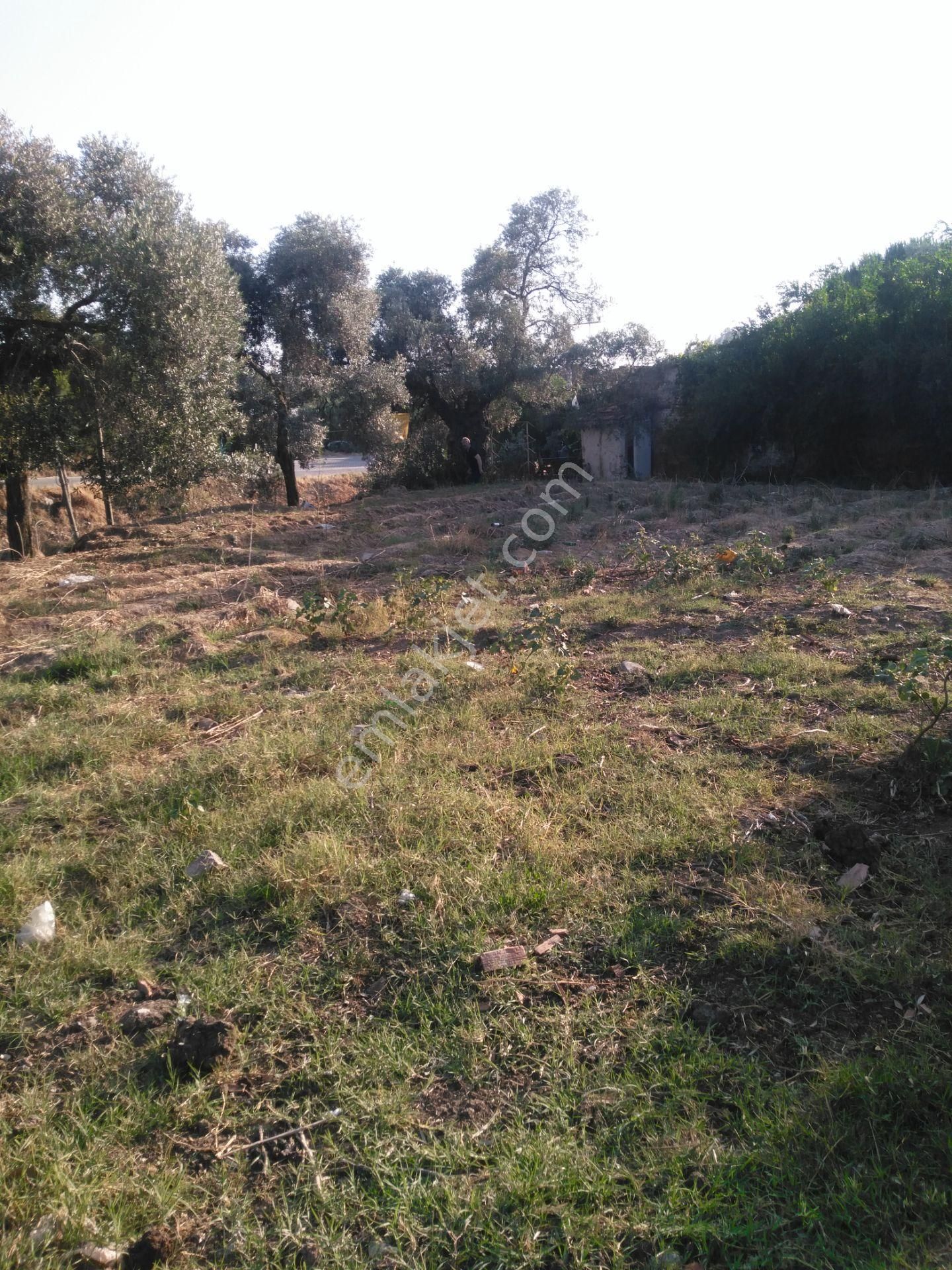 632 Ocaklı (yıldıztepe) Mahallesi Arasında Satılık Arsa - Görsel 26