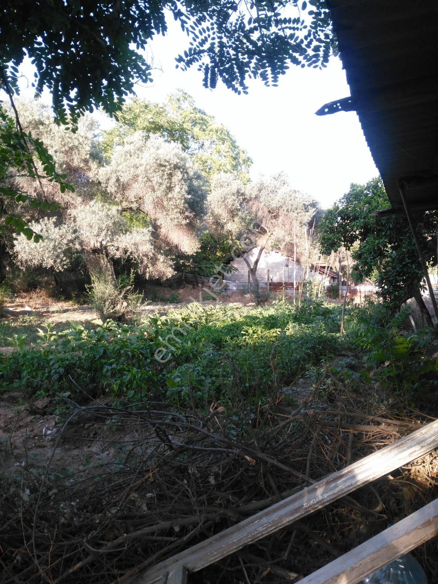 632 Ocaklı (yıldıztepe) Mahallesi Arasında Satılık Arsa - Görsel 21