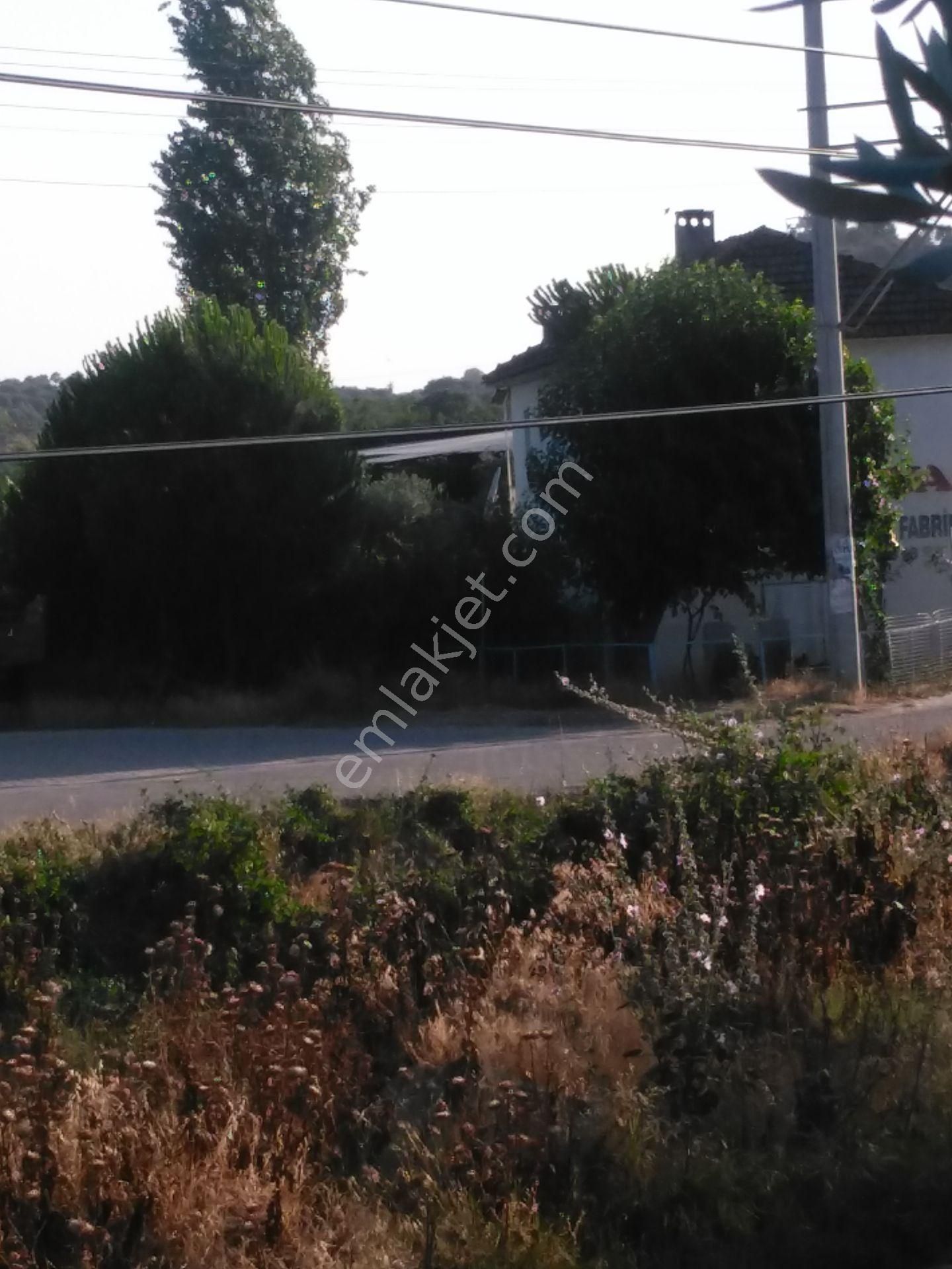 632 Ocaklı (yıldıztepe) Mahallesi Arasında Satılık Arsa - Görsel 6