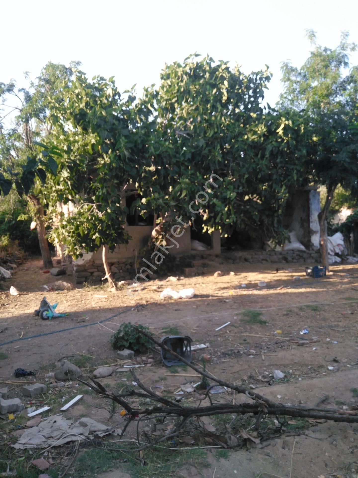 632 Ocaklı (yıldıztepe) Mahallesi Arasında Satılık Arsa - Görsel 16