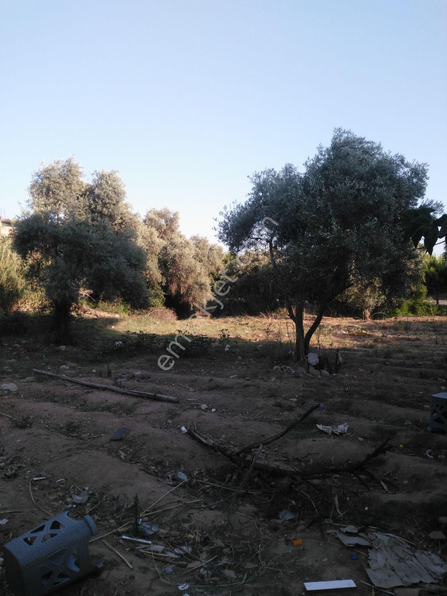 632 Ocaklı (yıldıztepe) Mahallesi Arasında Satılık Arsa - Görsel 19