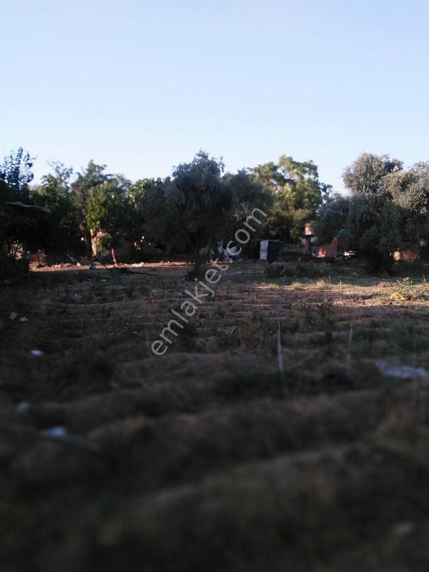 632 Ocaklı (yıldıztepe) Mahallesi Arasında Satılık Arsa - Görsel 10