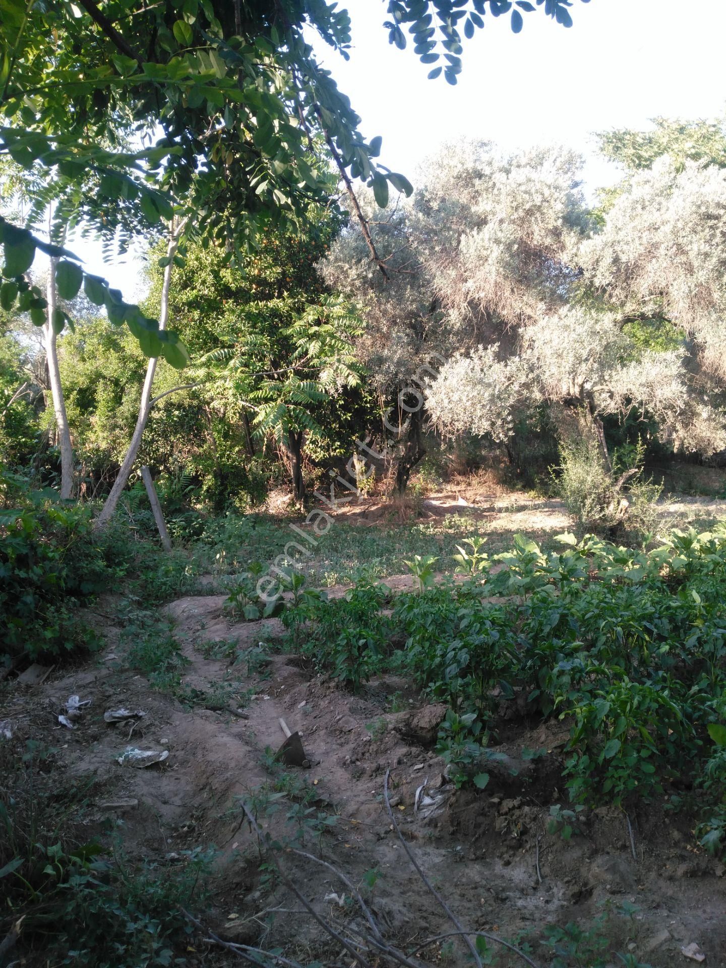 632 Ocaklı (yıldıztepe) Mahallesi Arasında Satılık Arsa - Görsel 22