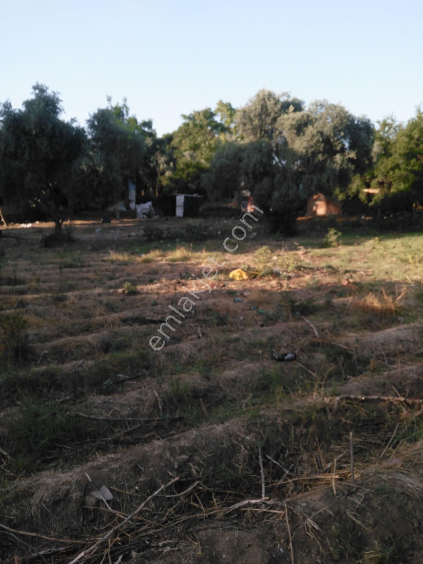 632 Ocaklı (yıldıztepe) Mahallesi Arasında Satılık Arsa - Görsel 14