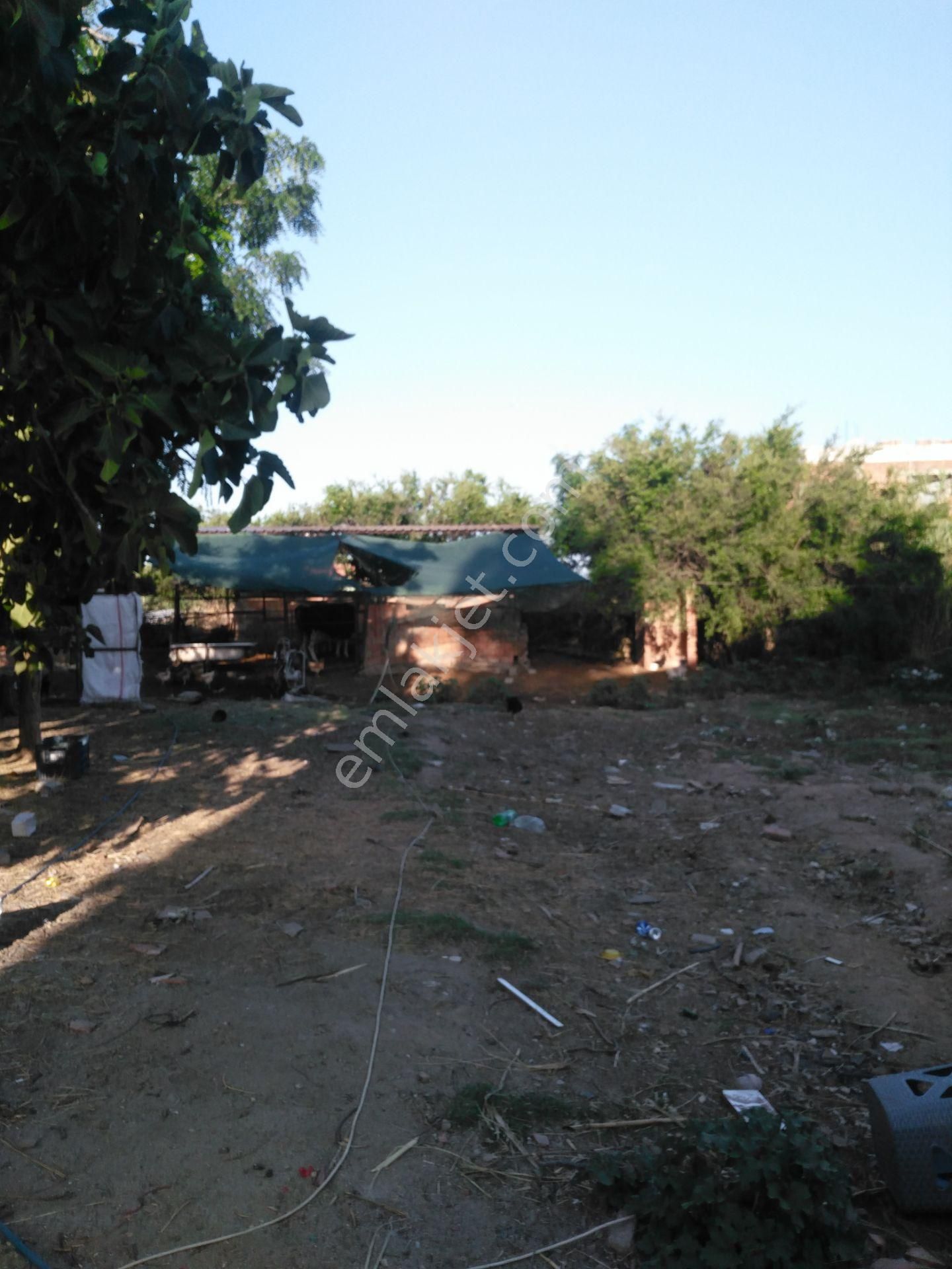 632 Ocaklı (yıldıztepe) Mahallesi Arasında Satılık Arsa - Görsel 18